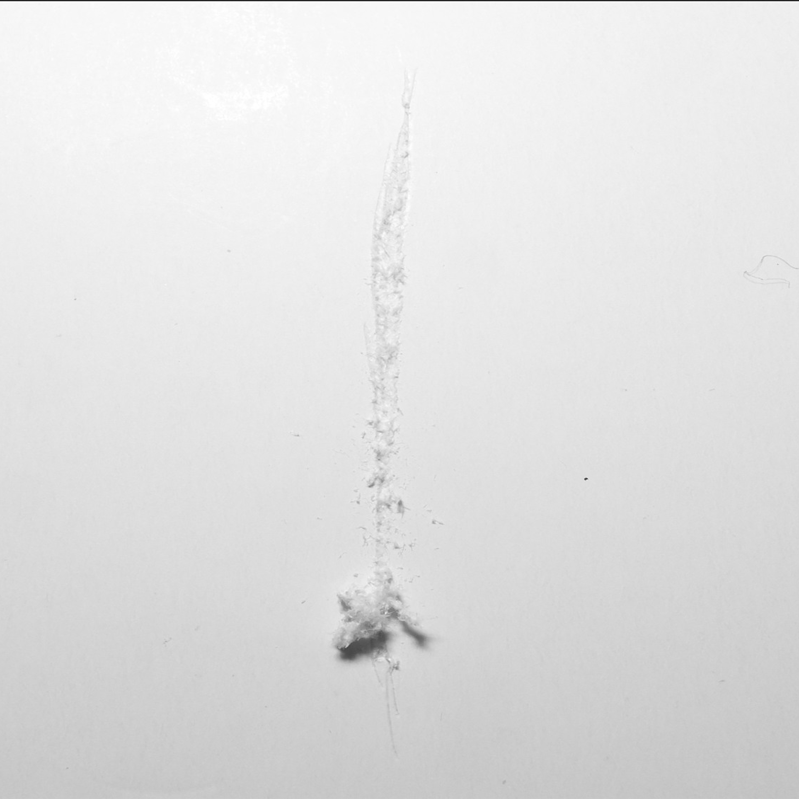 Soil. Elena Slobtseva is a visual multidisciplinary artist