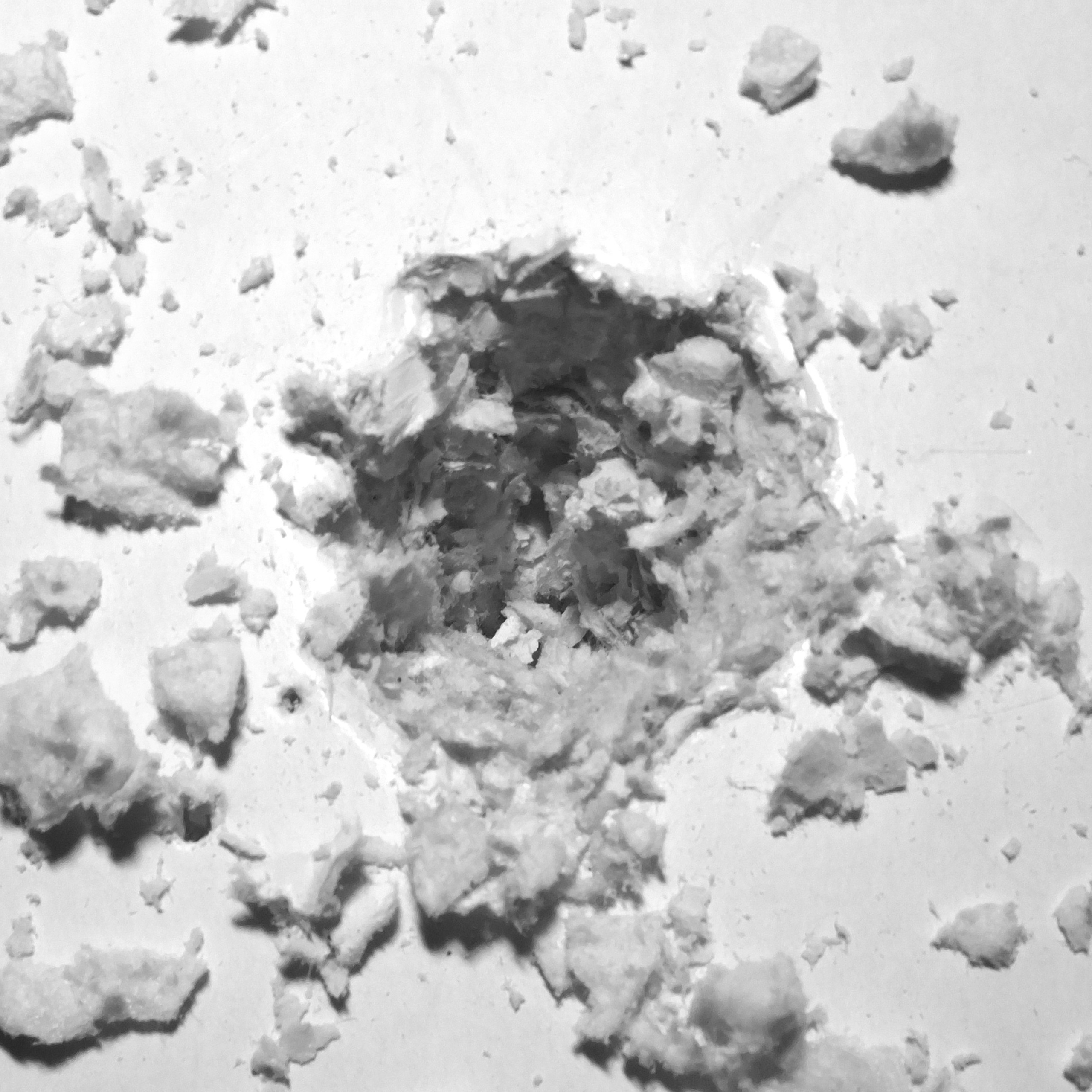 Soil. Elena Slobtseva is a visual multidisciplinary artist