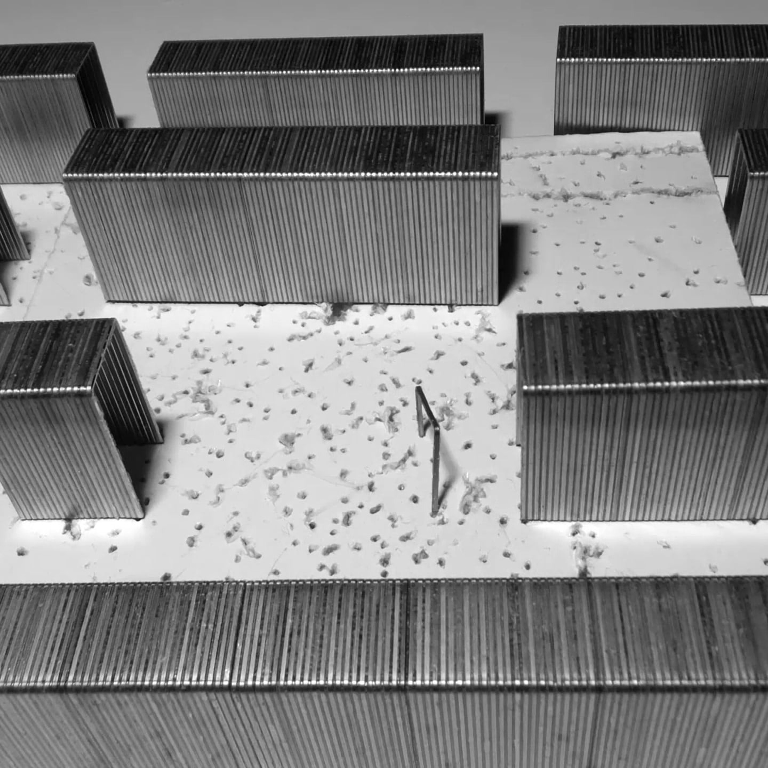 Staples. Elena Slobtseva is a visual multidisciplinary artist