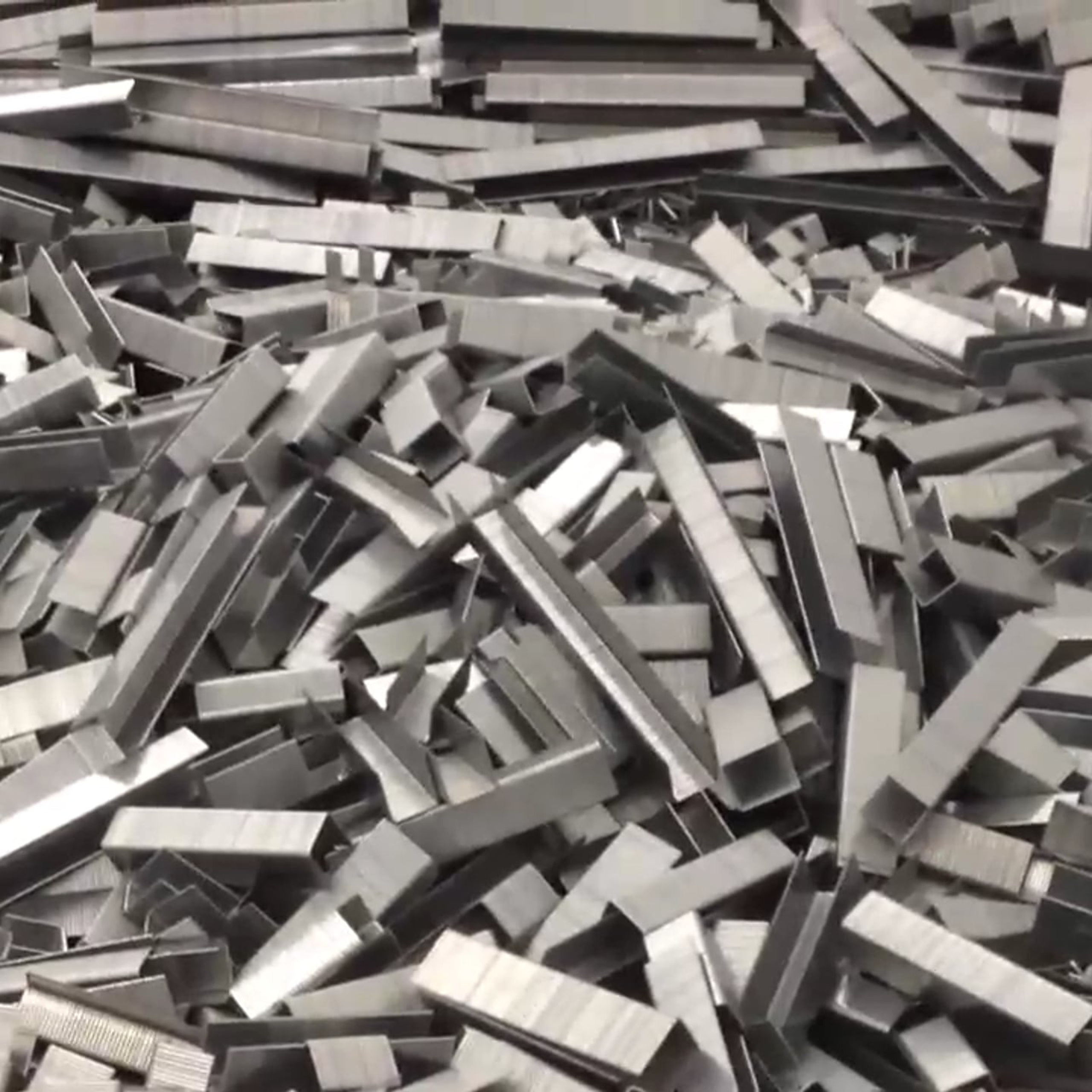 Heart. Elena Slobtseva is a visual multidisciplinary artist