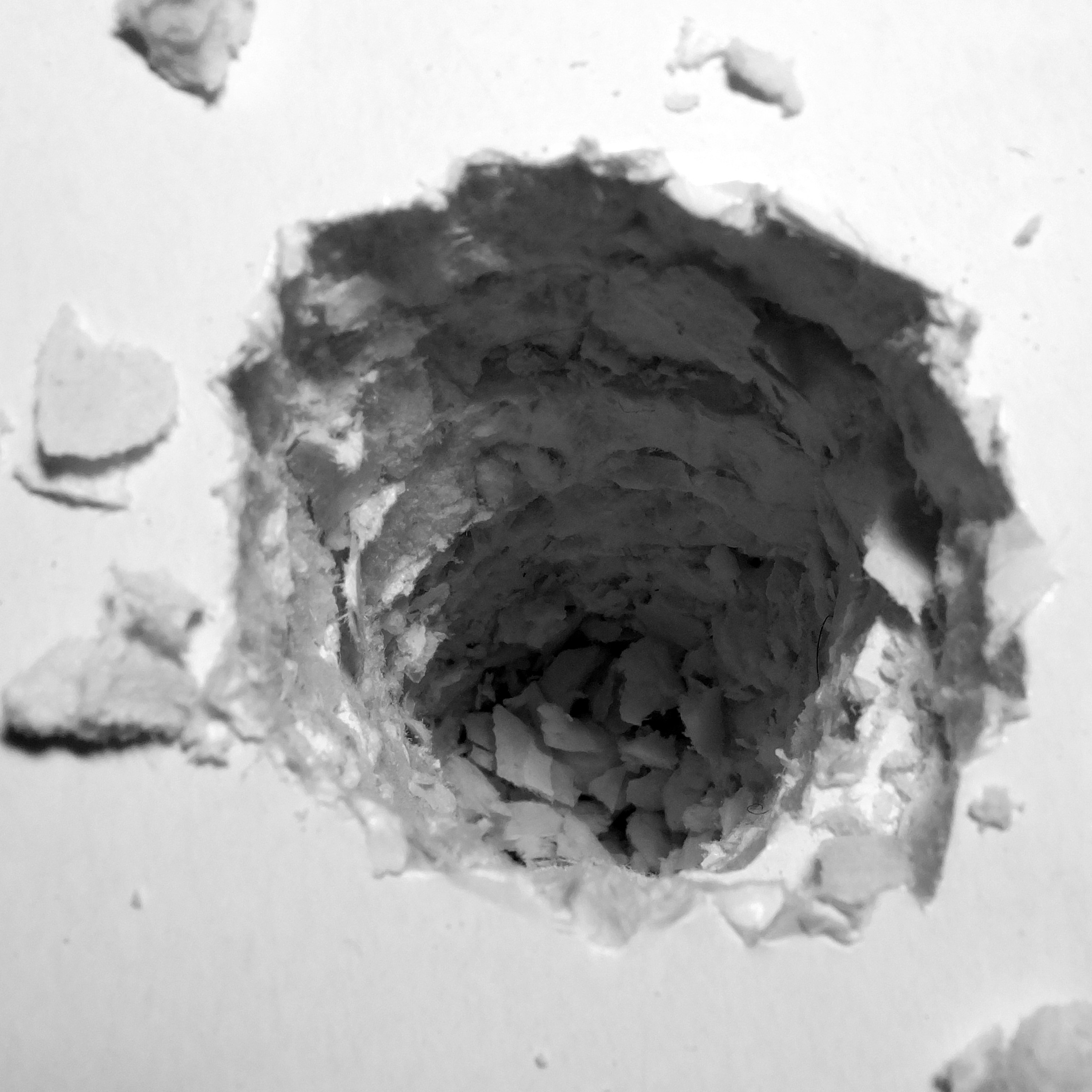 Soil. Elena Slobtseva is a visual multidisciplinary artist