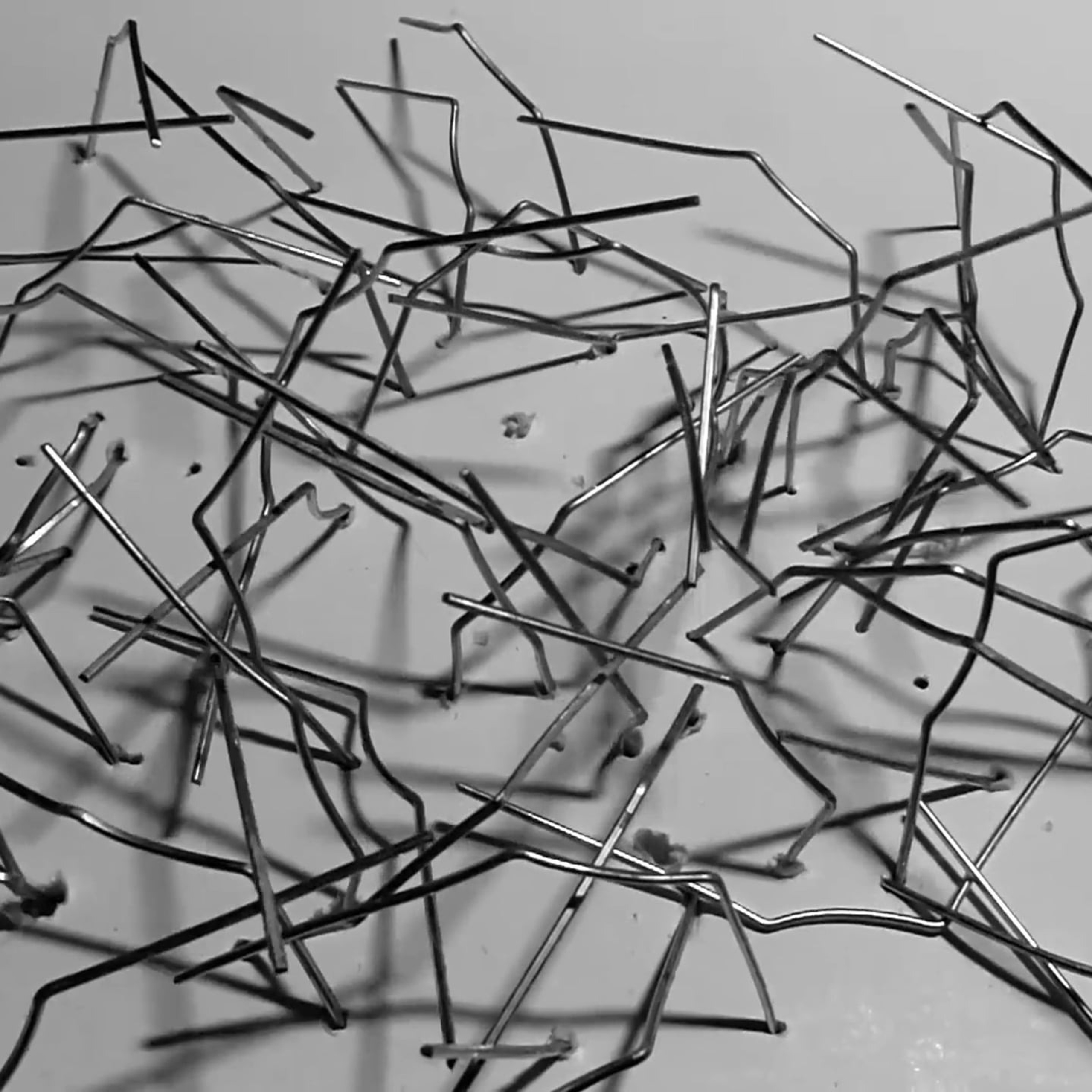 Grass. Elena Slobtseva is a visual multidisciplinary artist