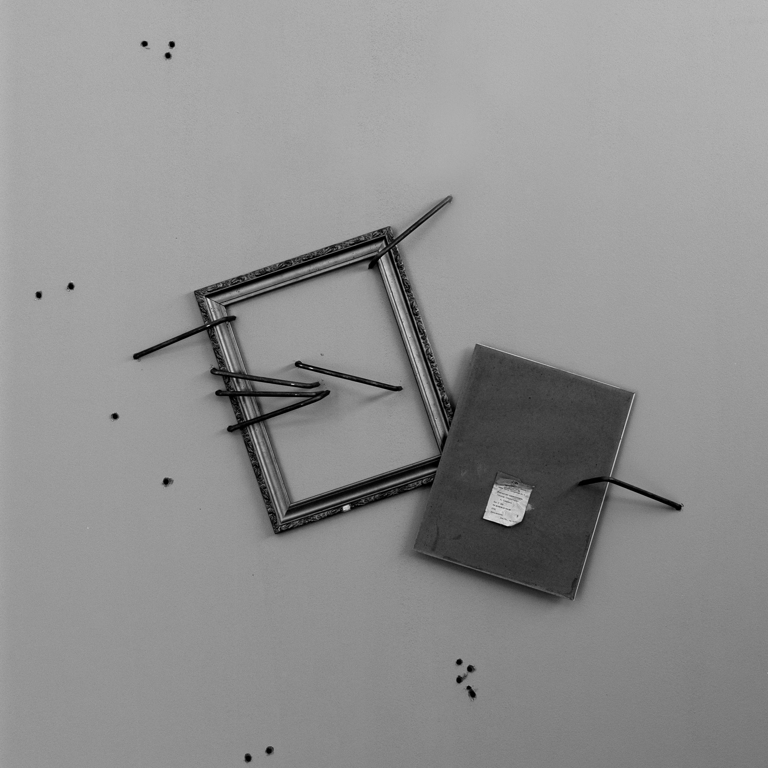 The Rooks Have Come Back. Elena Slobtseva is a visual multidisciplinary artist