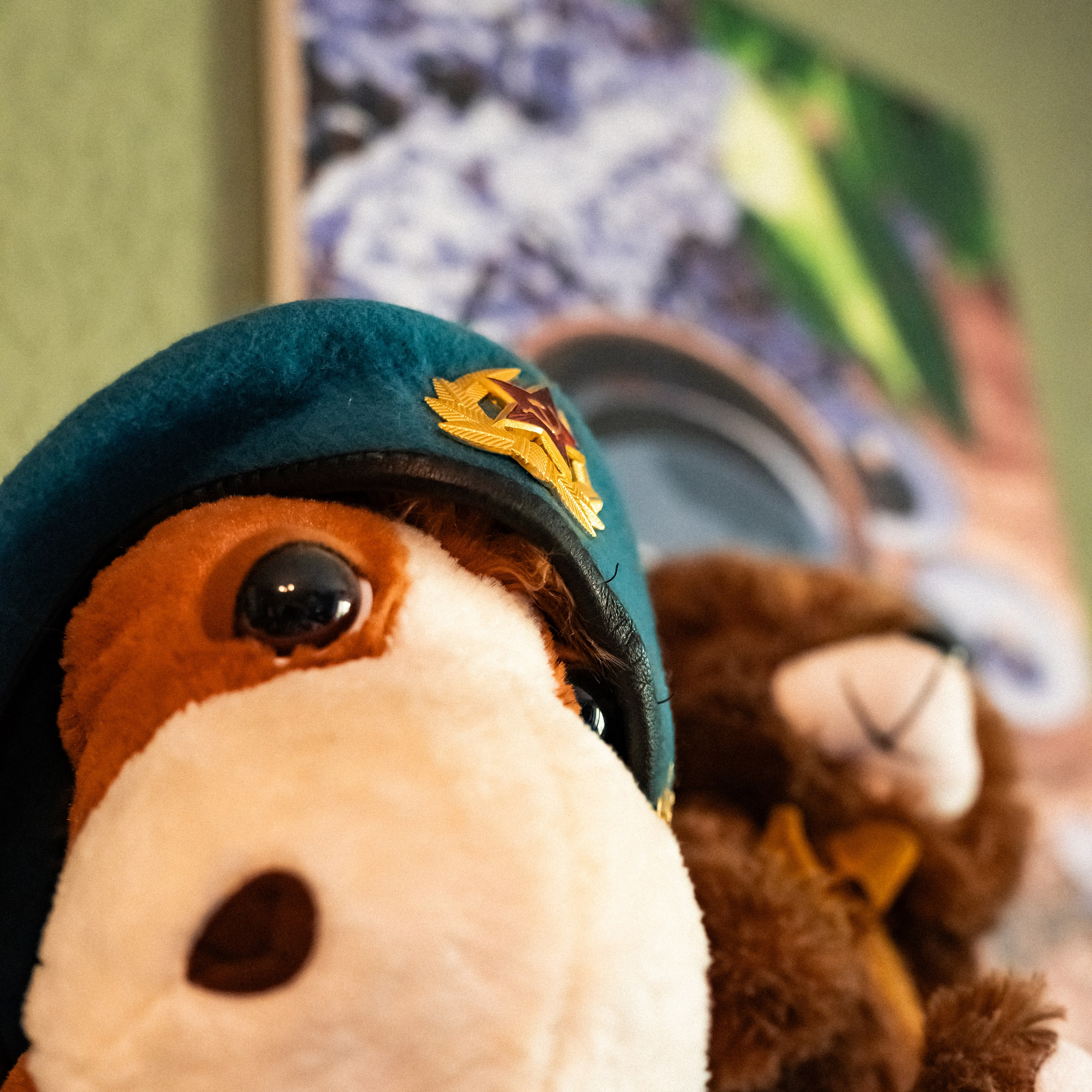 «Один день с фотографом»: Виктор. Кошенкова Мария: портретный и репортажный фотограф. Санкт-Петербург