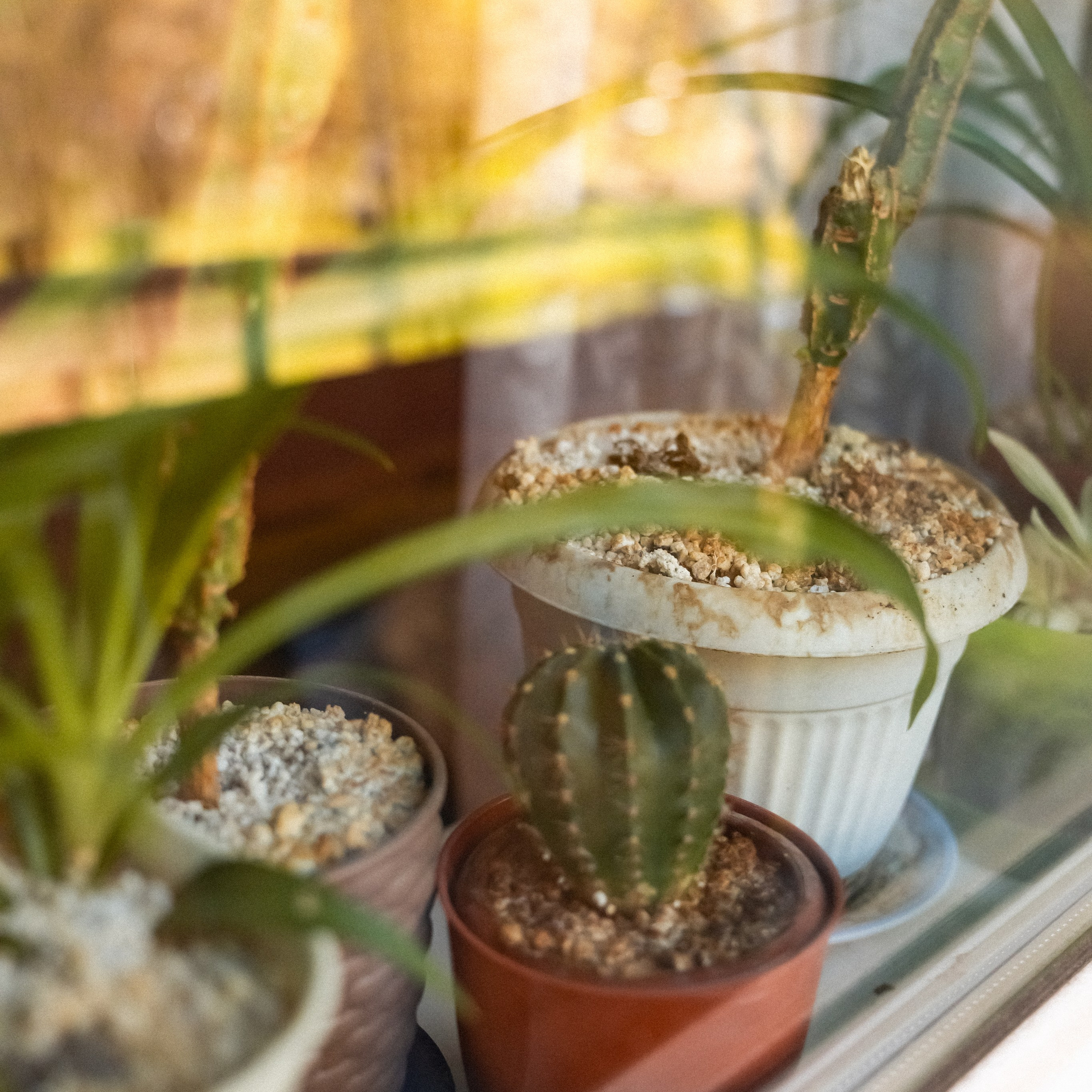 «Один день с фотографом»: Виктор. Кошенкова Мария: портретный и репортажный фотограф. Санкт-Петербург