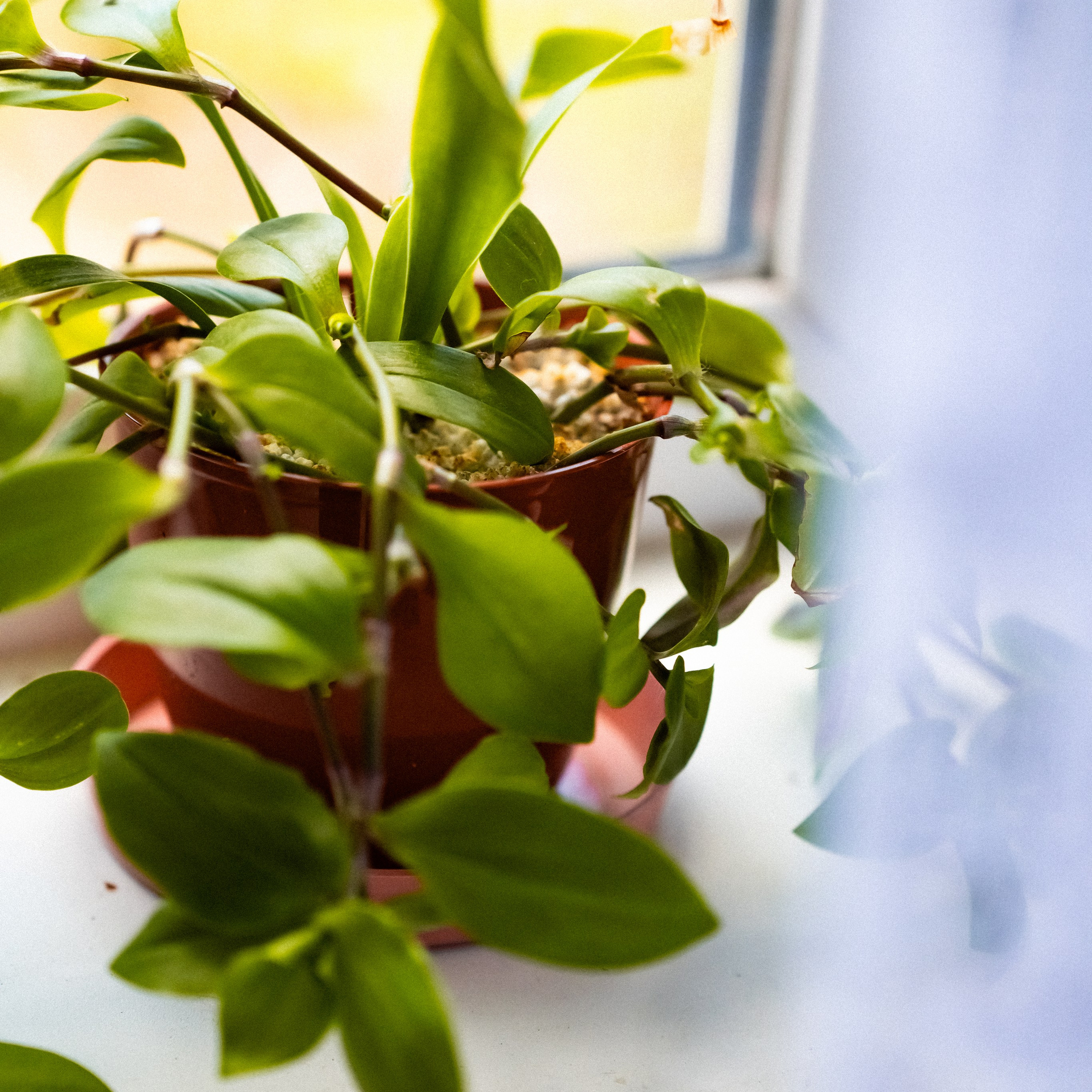 «Один день с фотографом»: Виктор. Кошенкова Мария: портретный и репортажный фотограф. Санкт-Петербург