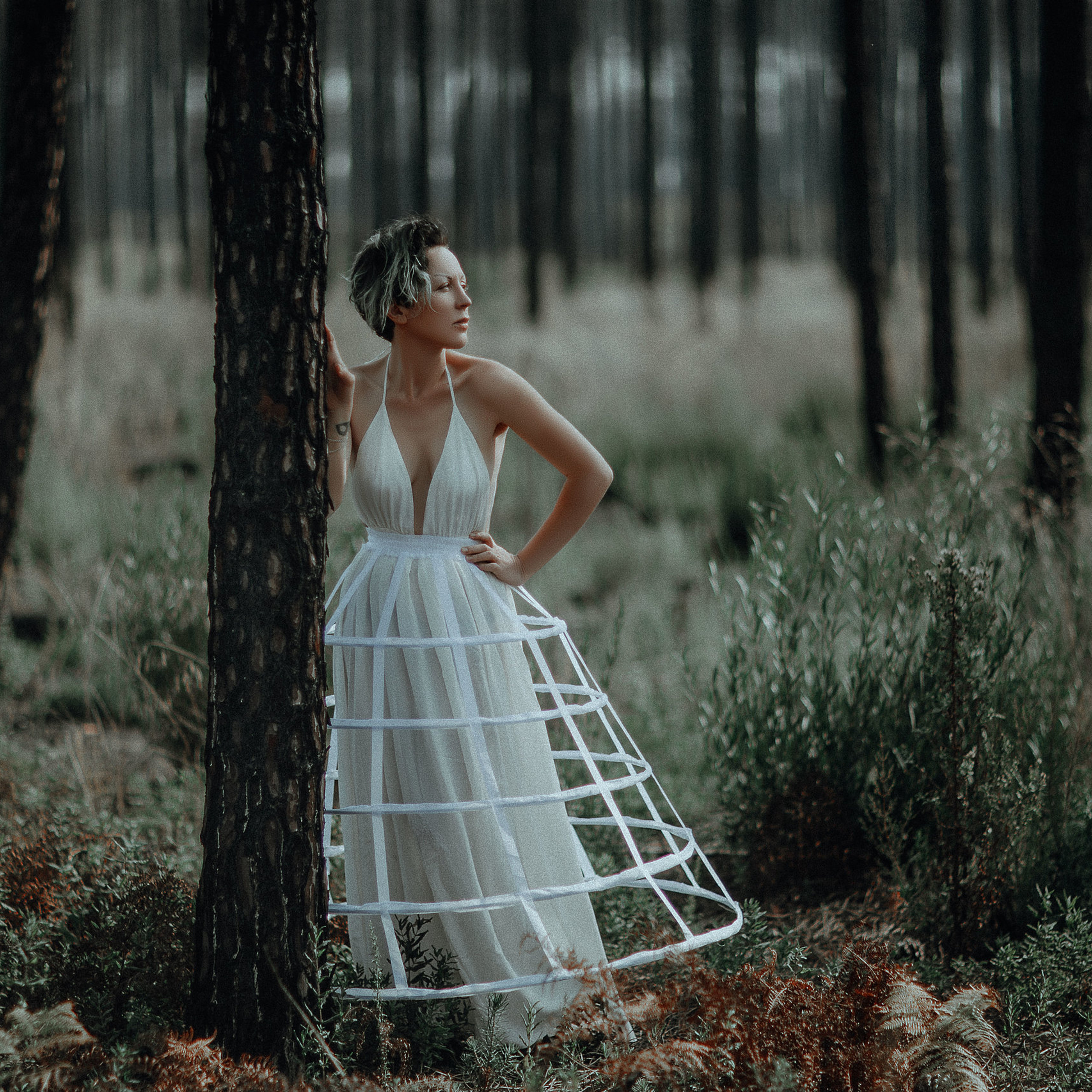 Eucalyptus
