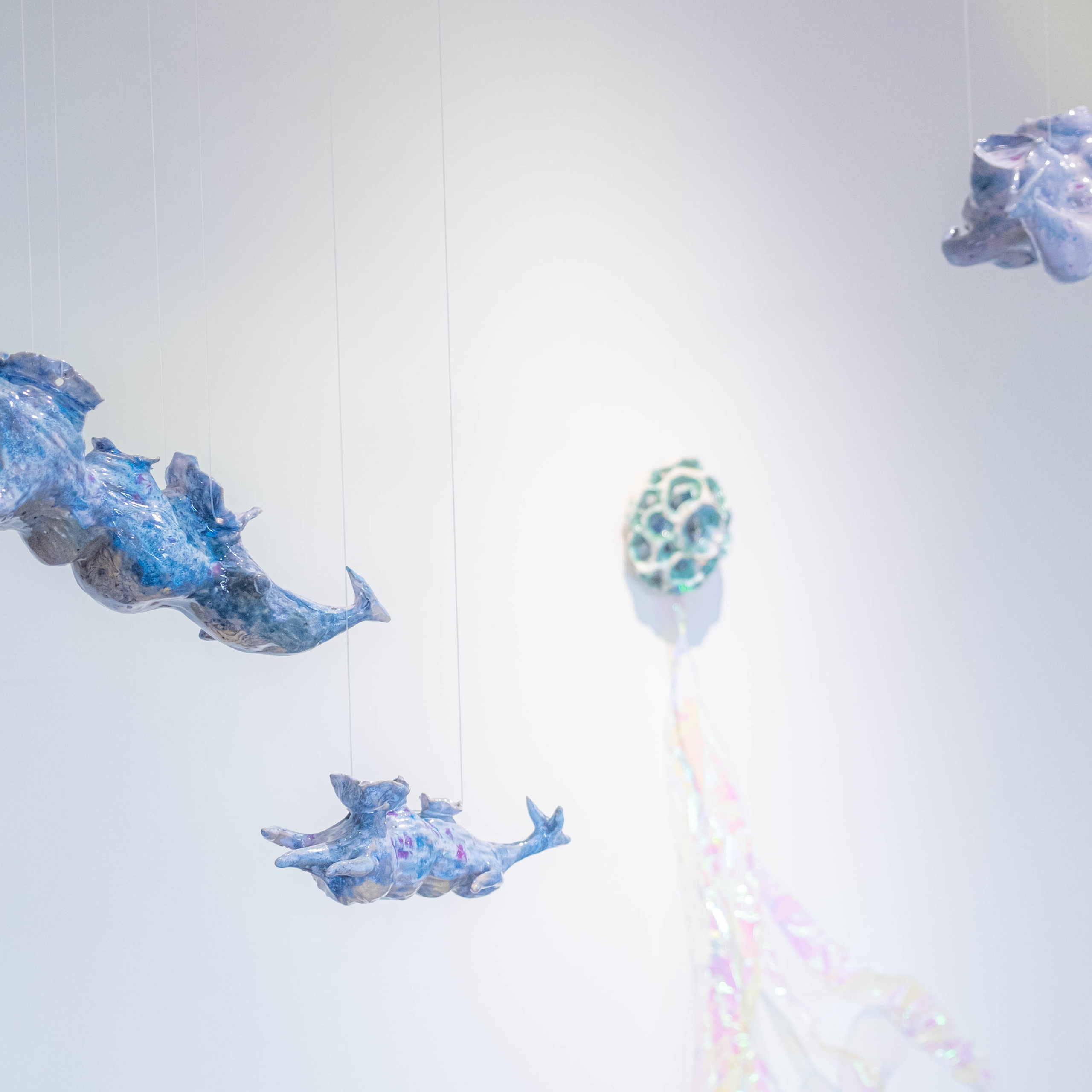 Облако Оорта. Анна Рейнхардт. Элина Гусарова