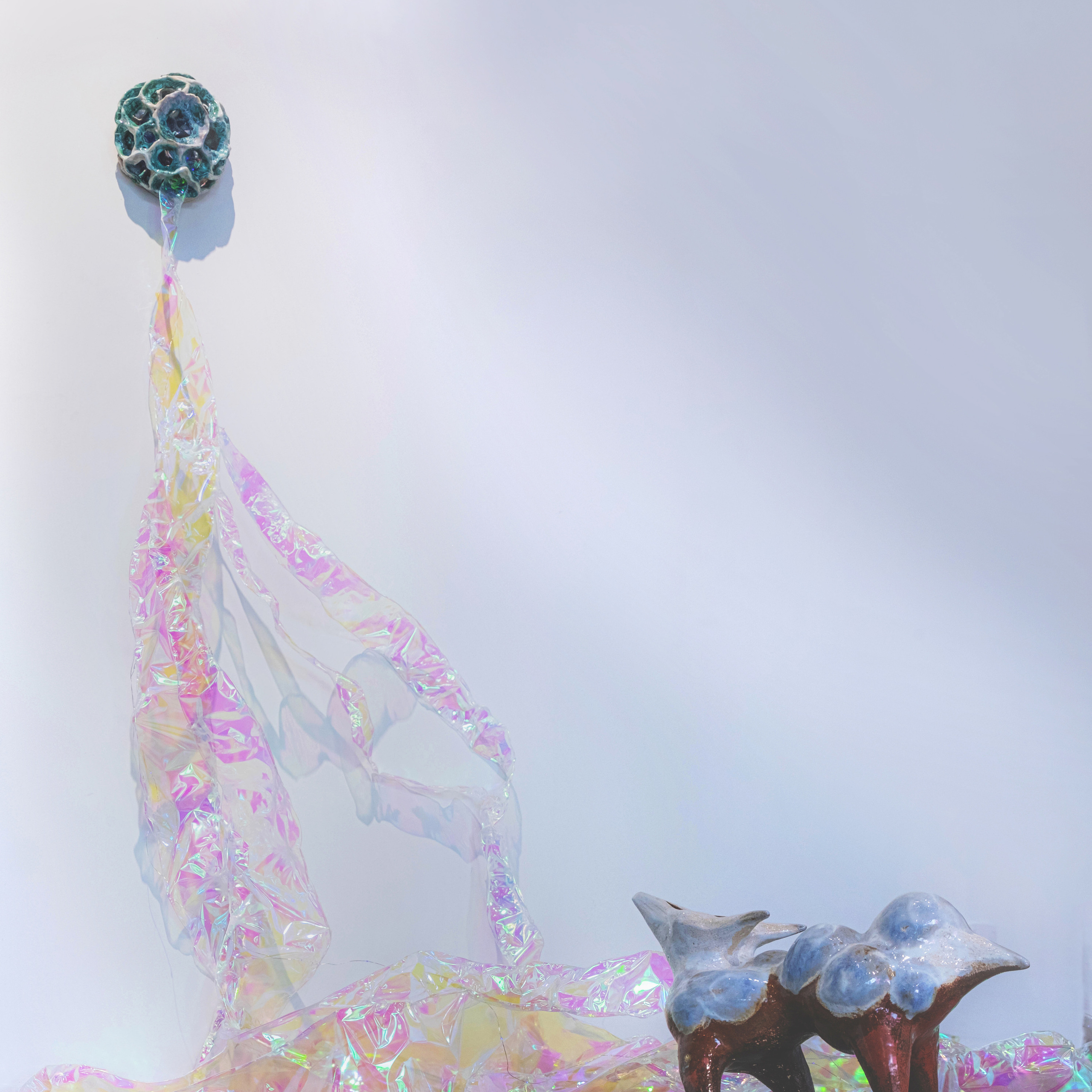 Облако Оорта. Анна Рейнхардт. Элина Гусарова