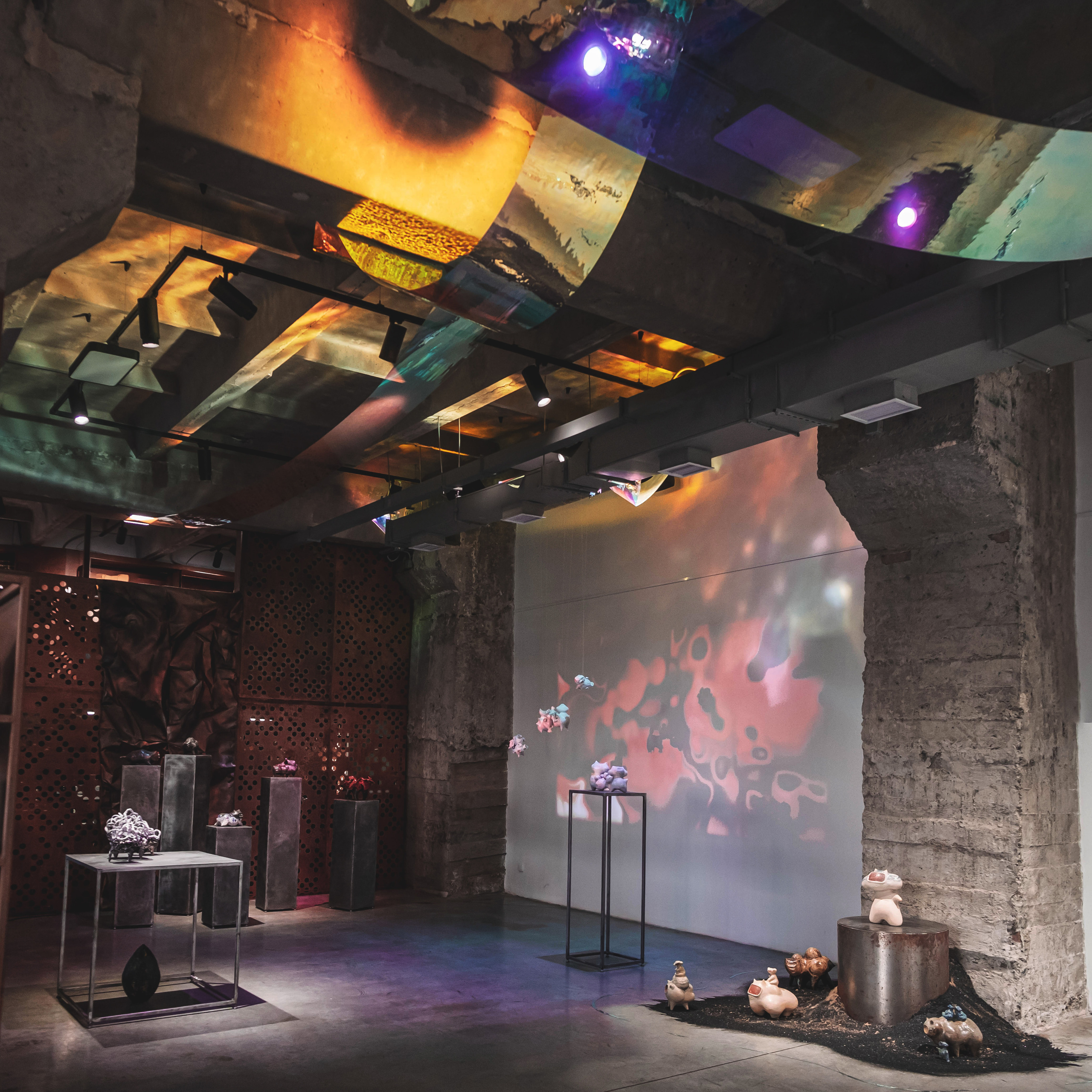 Облако Оорта. Анна Рейнхардт. Элина Гусарова