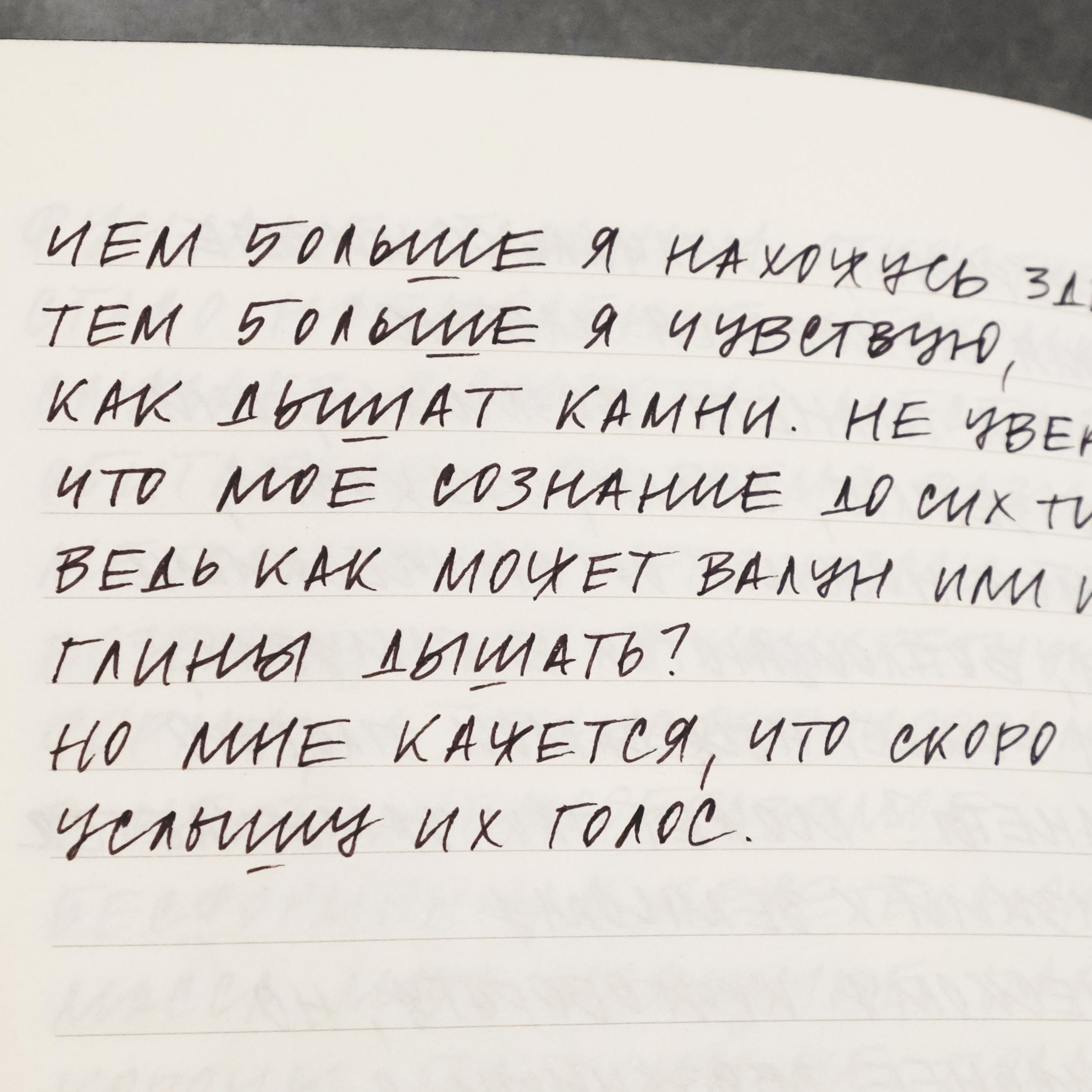 Облако Оорта. Анна Рейнхардт. Элина Гусарова