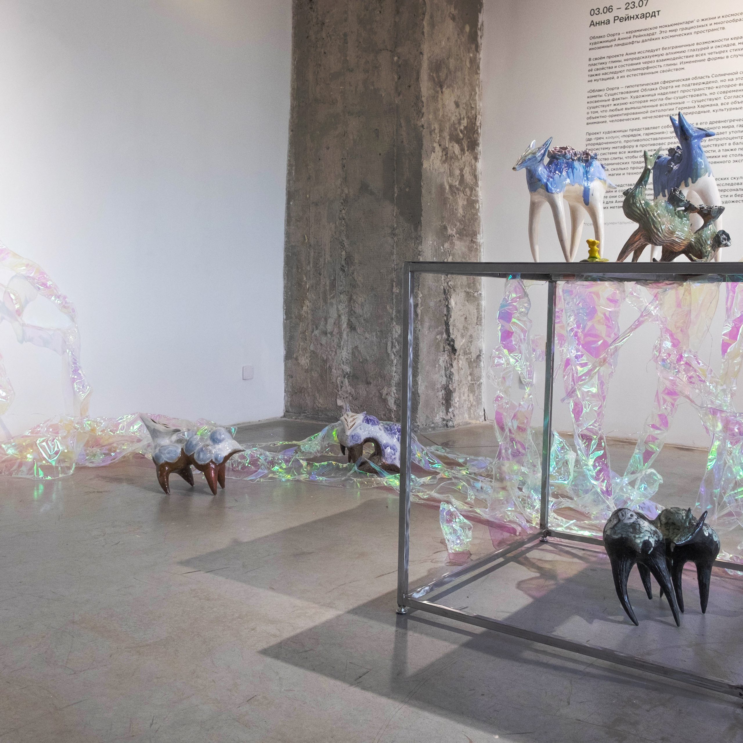 Облако Оорта. Анна Рейнхардт. Элина Гусарова