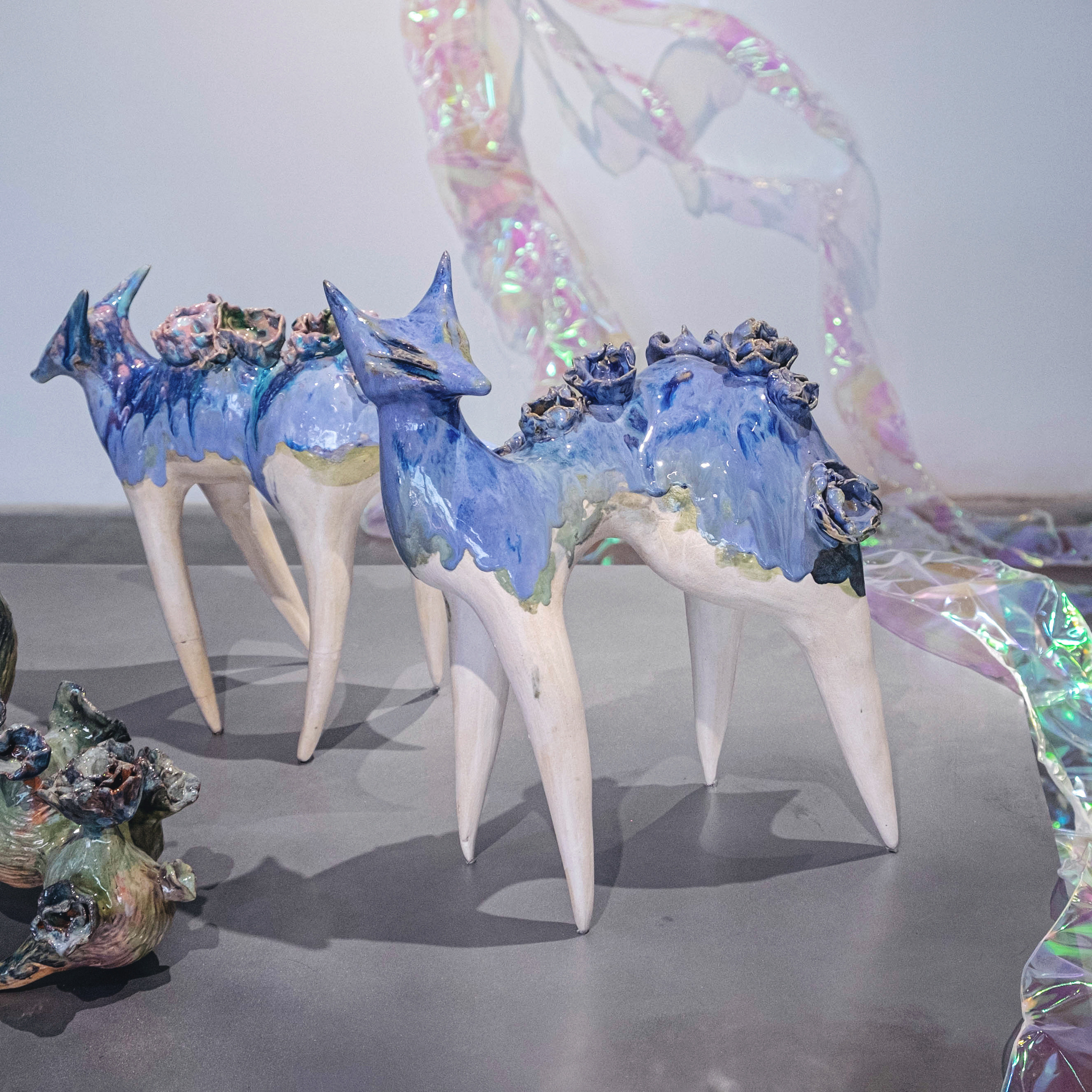 Облако Оорта. Анна Рейнхардт. Элина Гусарова