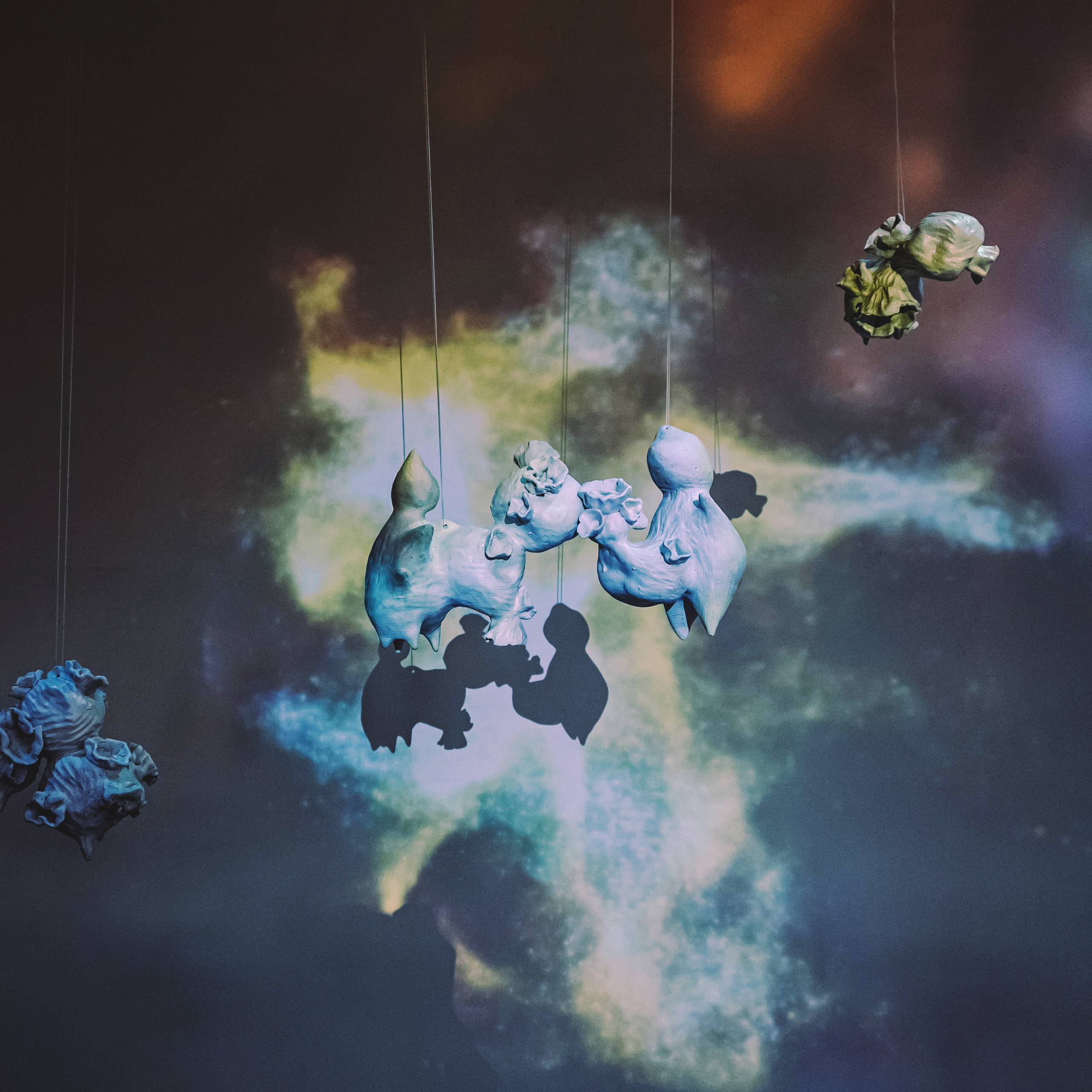 Облако Оорта. Анна Рейнхардт. Элина Гусарова