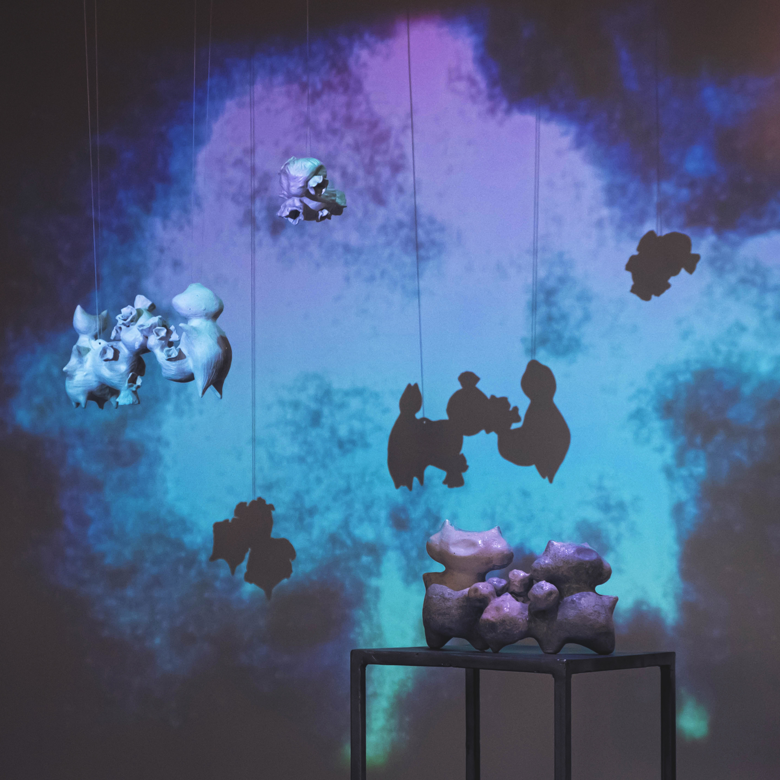 Облако Оорта. Анна Рейнхардт. Элина Гусарова