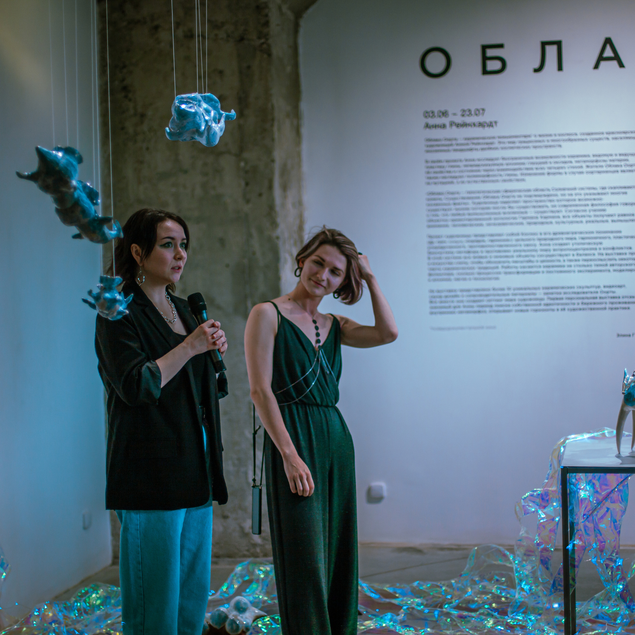 Облако Оорта. Анна Рейнхардт. Элина Гусарова