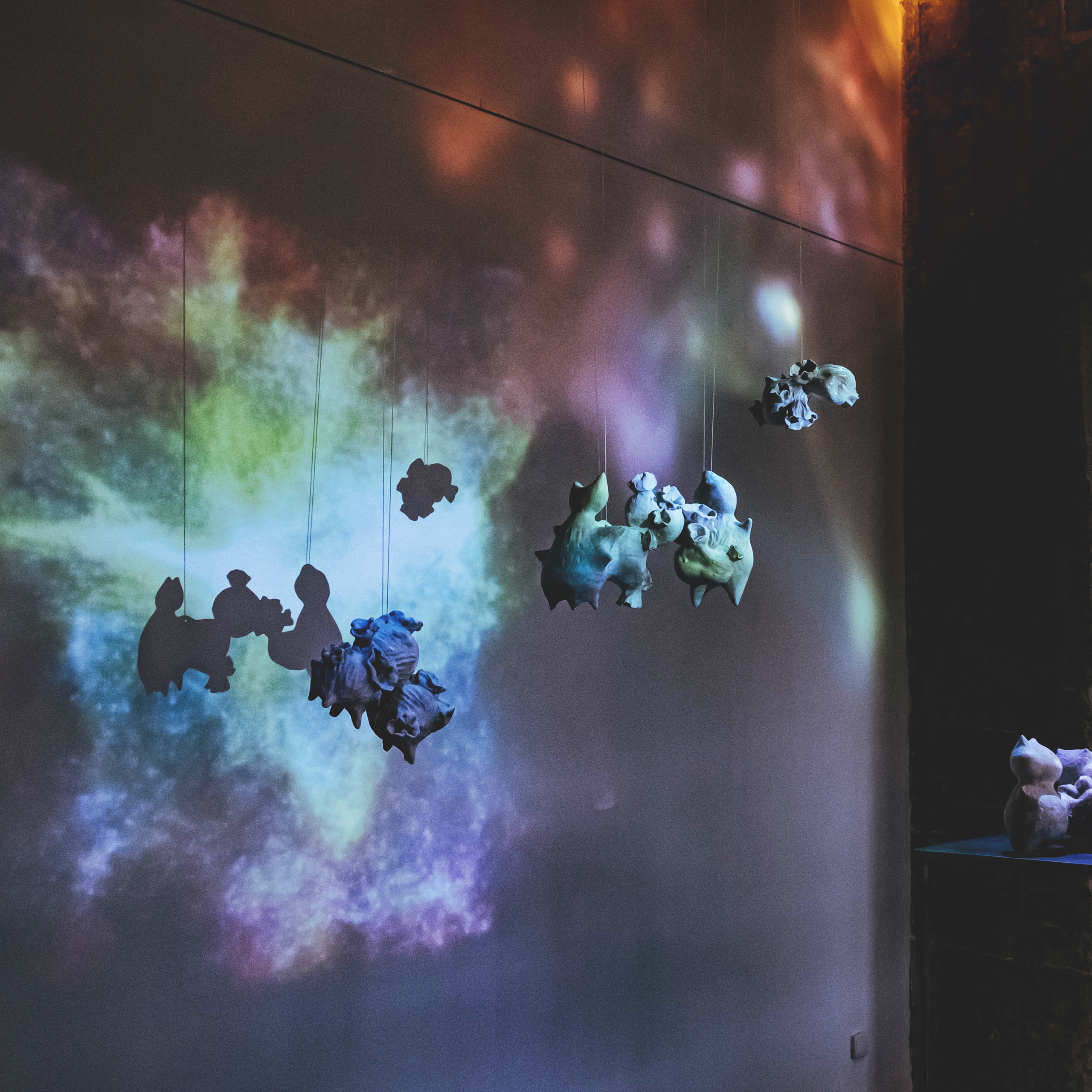 Облако Оорта. Анна Рейнхардт. Элина Гусарова