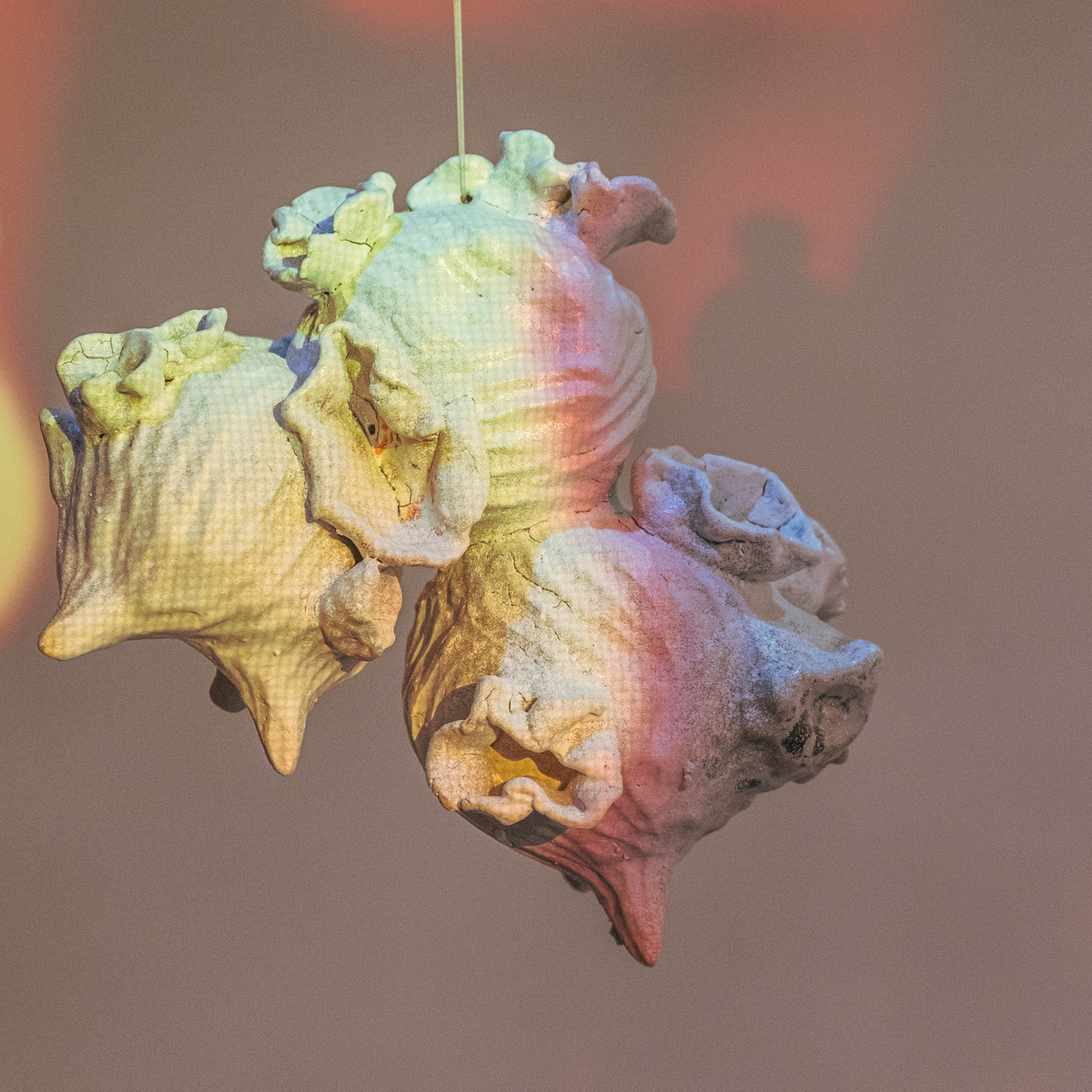 Облако Оорта. Анна Рейнхардт. Элина Гусарова