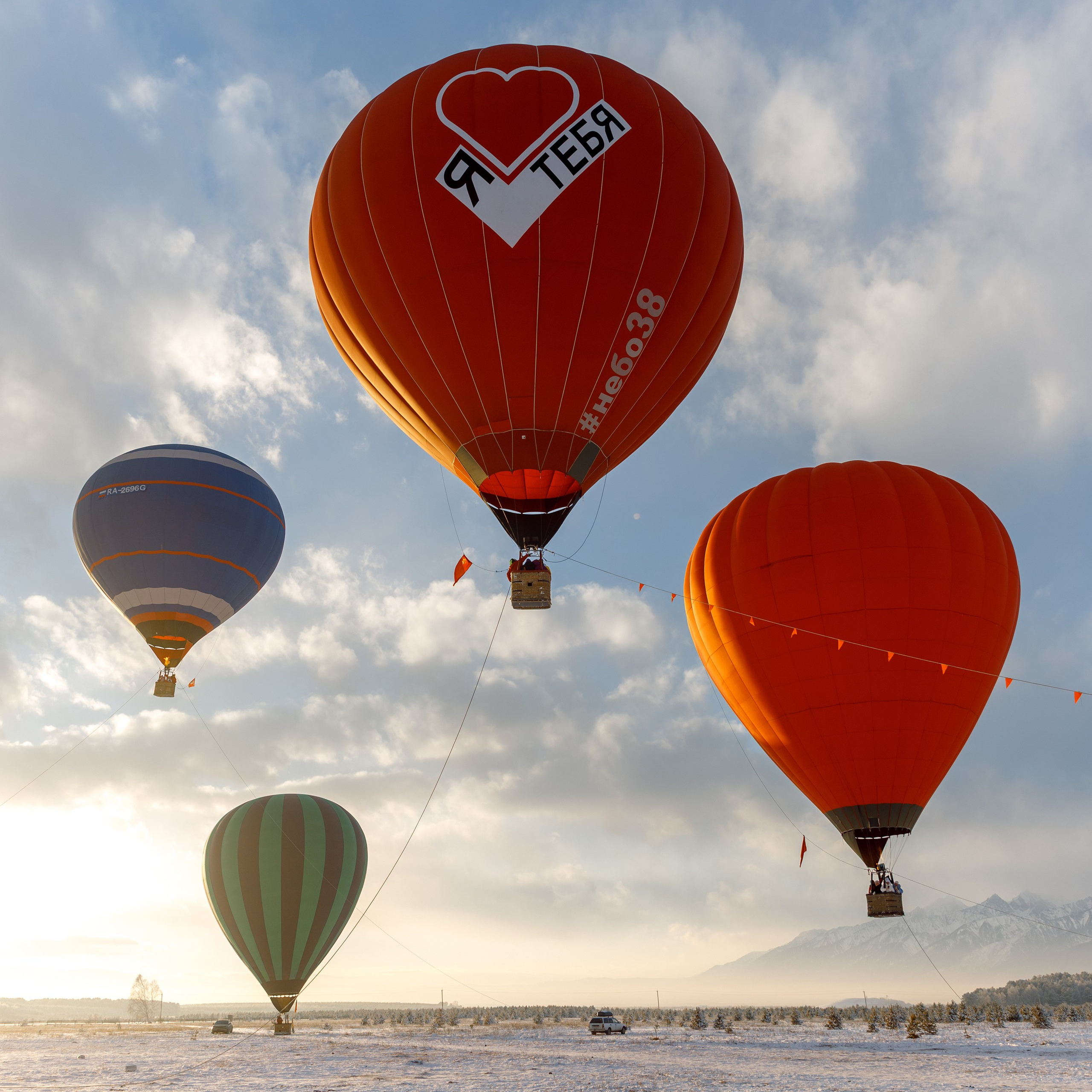 ЯБЛОКИ НА СНЕГУ