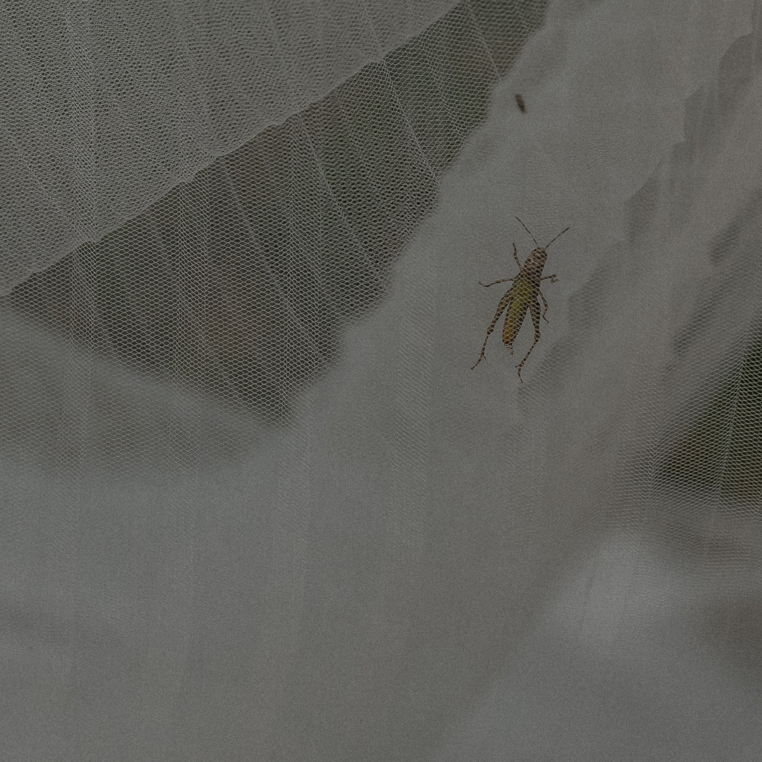 Wedding day Артем и Яна. Свадебный фотограф Колесников Антон