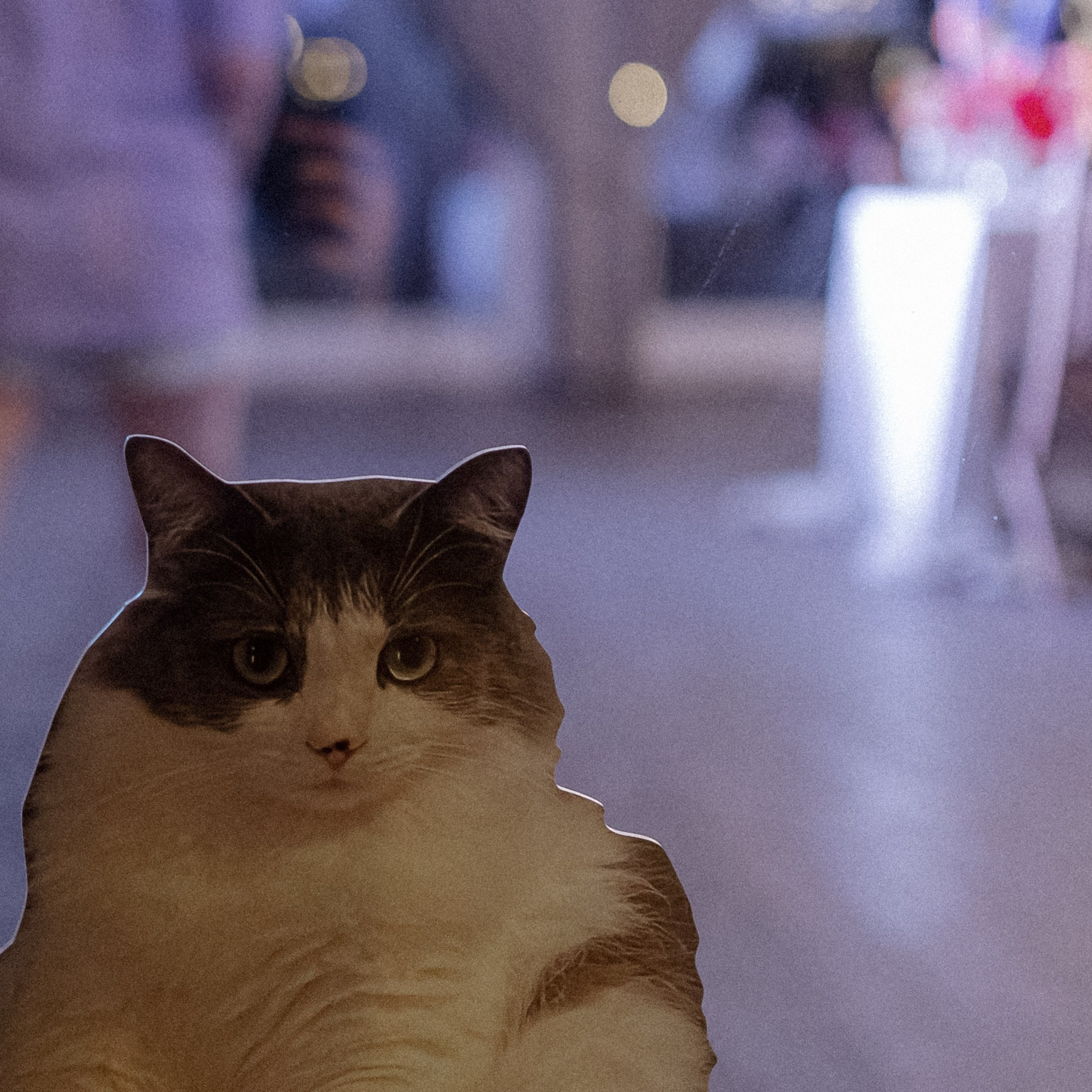 Wedding day Артем и Яна. Свадебный фотограф Колесников Антон