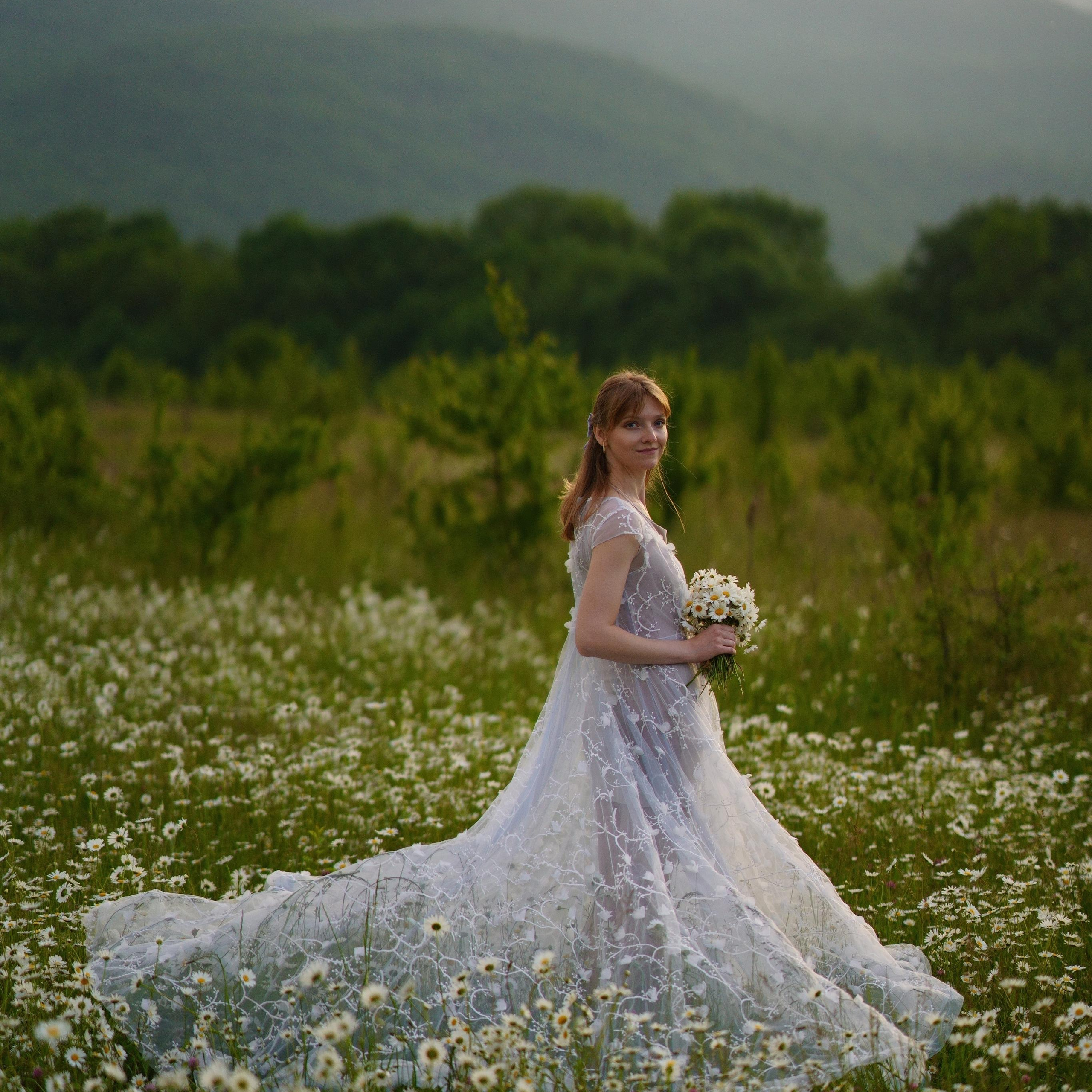 Ромашковое поле