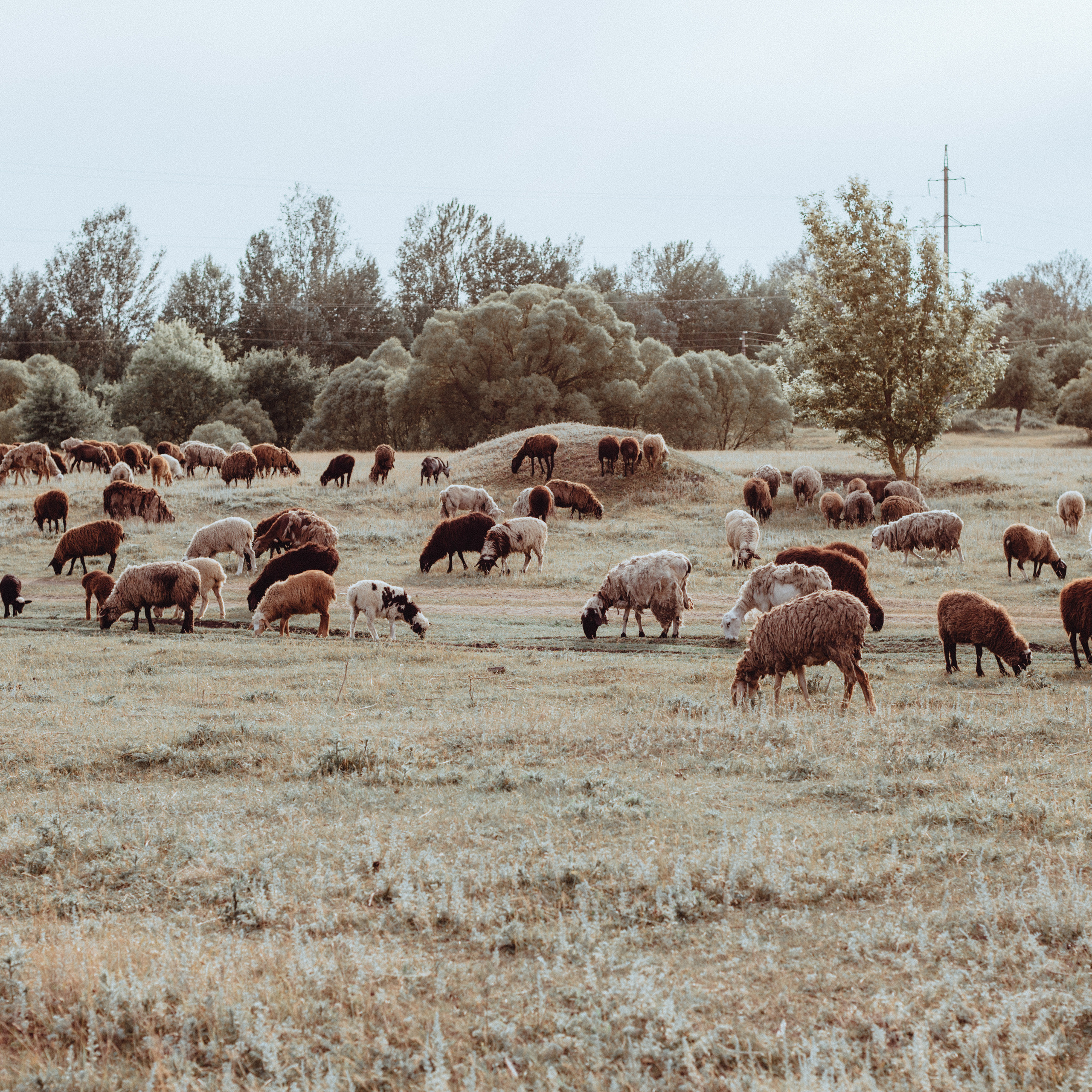 Блог. Фотограф Старый Оскол Мавлыга Мария
