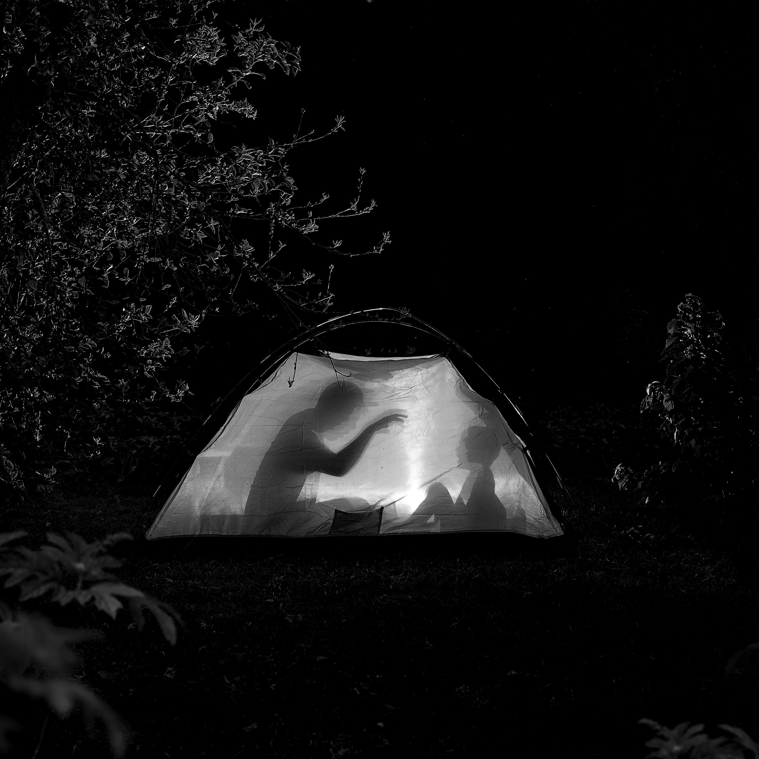 Виртуальная выставка от Орловского областного центра. Фотографы в Орле Шестопаловы Юлия и Юрий