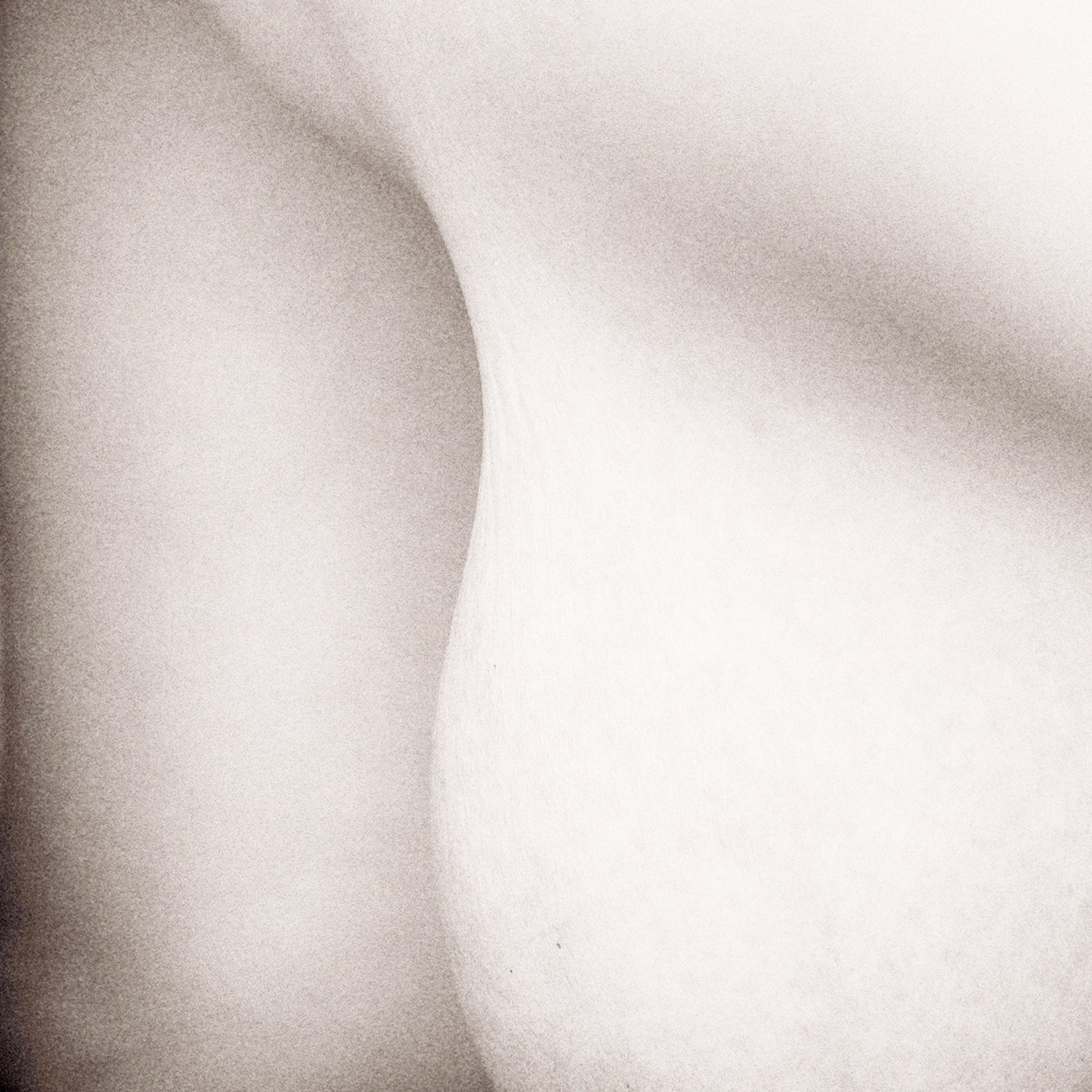 Виртуальная выставка от Орловского областного центра. Фотографы в Орле Шестопаловы Юлия и Юрий