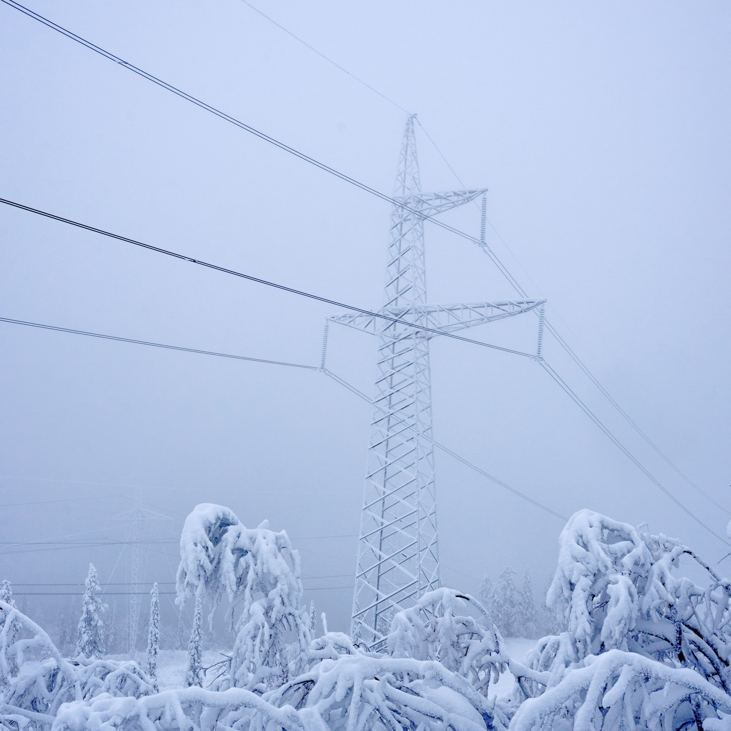 Виртуальная выставка от Орловского областного центра. Фотографы в Орле Шестопаловы Юлия и Юрий