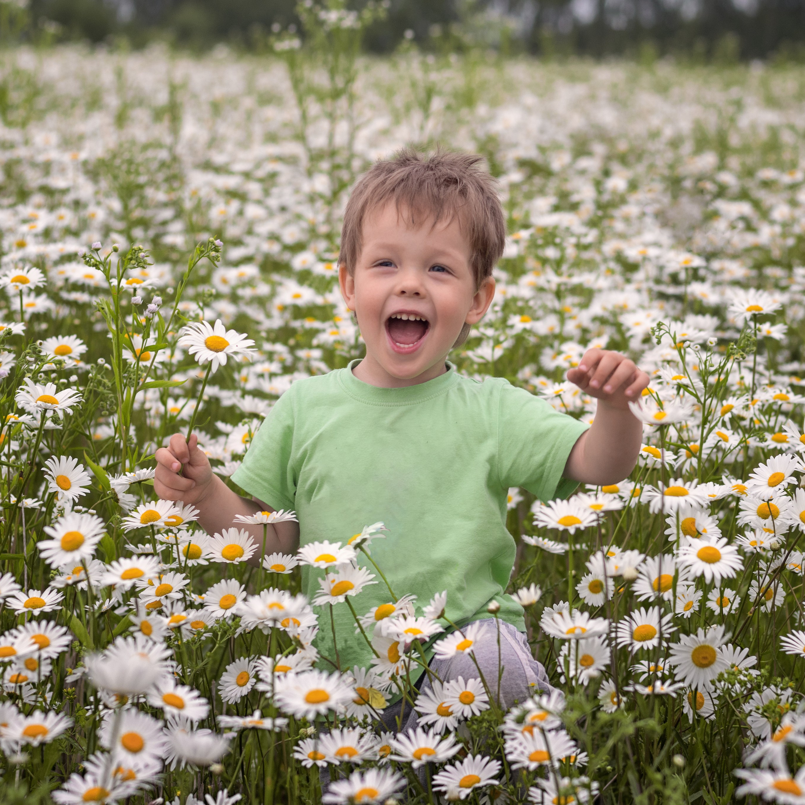Виртуальная выставка от Орловского областного центра. Фотографы в Орле Шестопаловы Юлия и Юрий