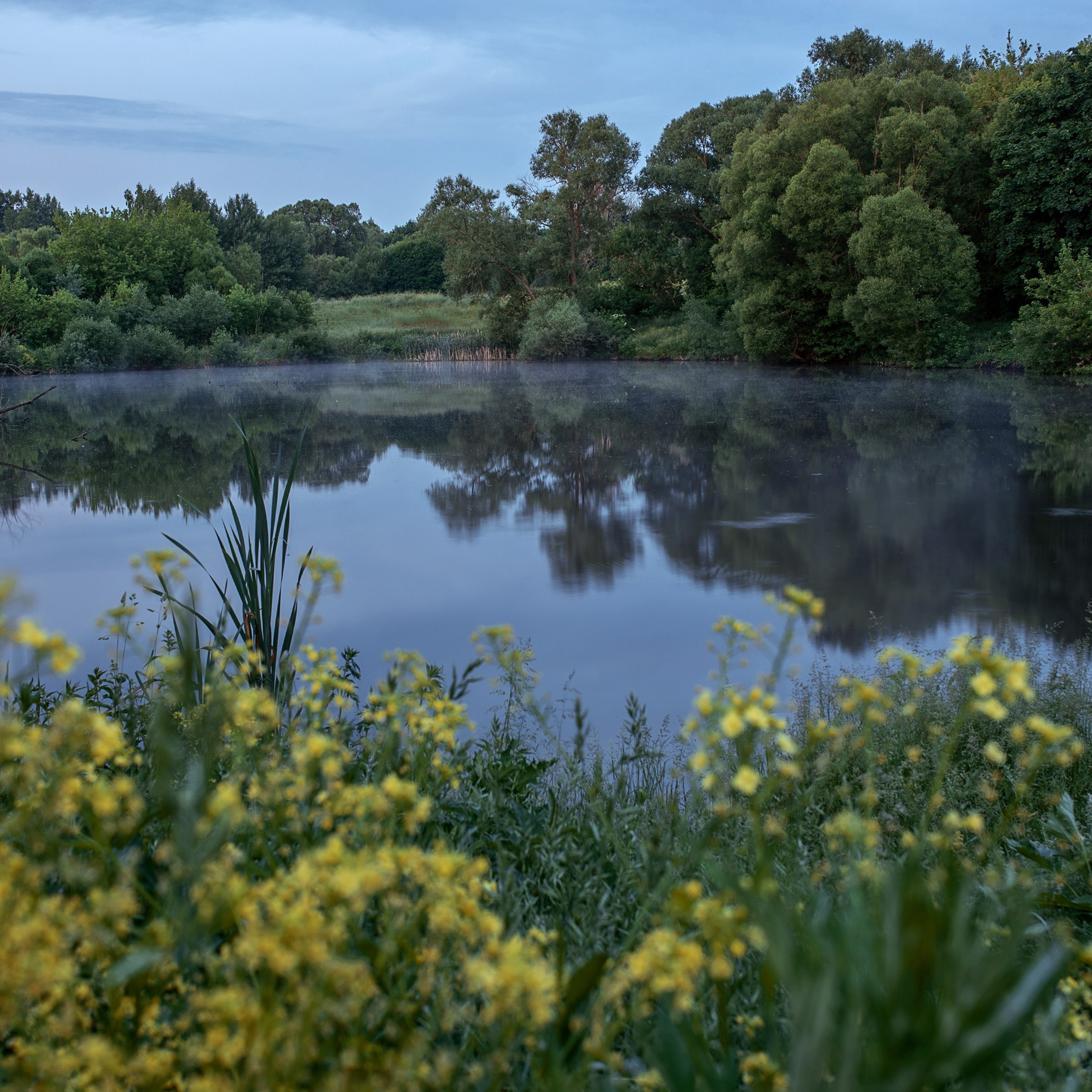 Виртуальная выставка от Орловского областного центра. Фотографы в Орле Шестопаловы Юлия и Юрий
