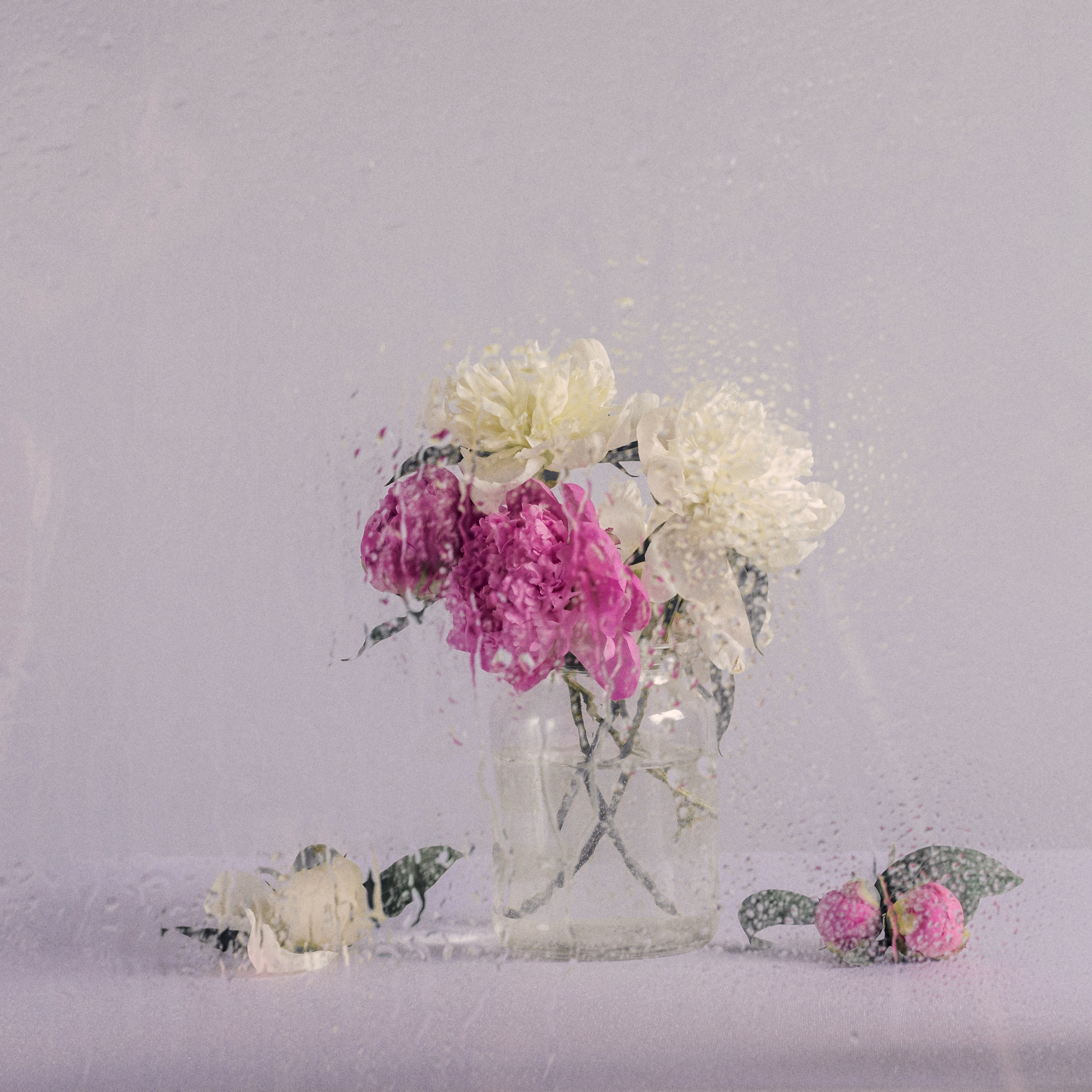 Виртуальная выставка от Орловского областного центра. Фотографы в Орле Шестопаловы Юлия и Юрий