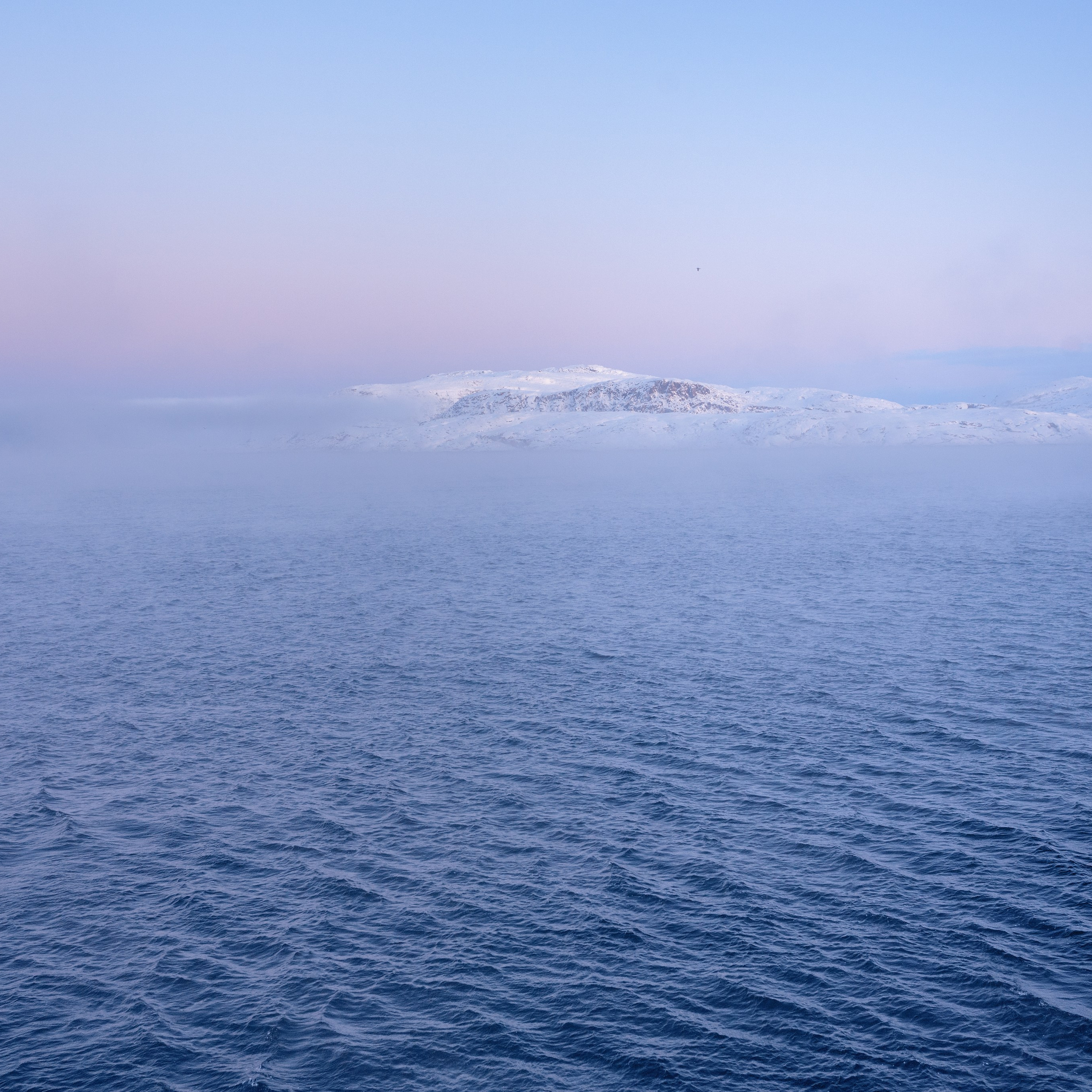 Виртуальная выставка от Орловского областного центра. Фотографы в Орле Шестопаловы Юлия и Юрий