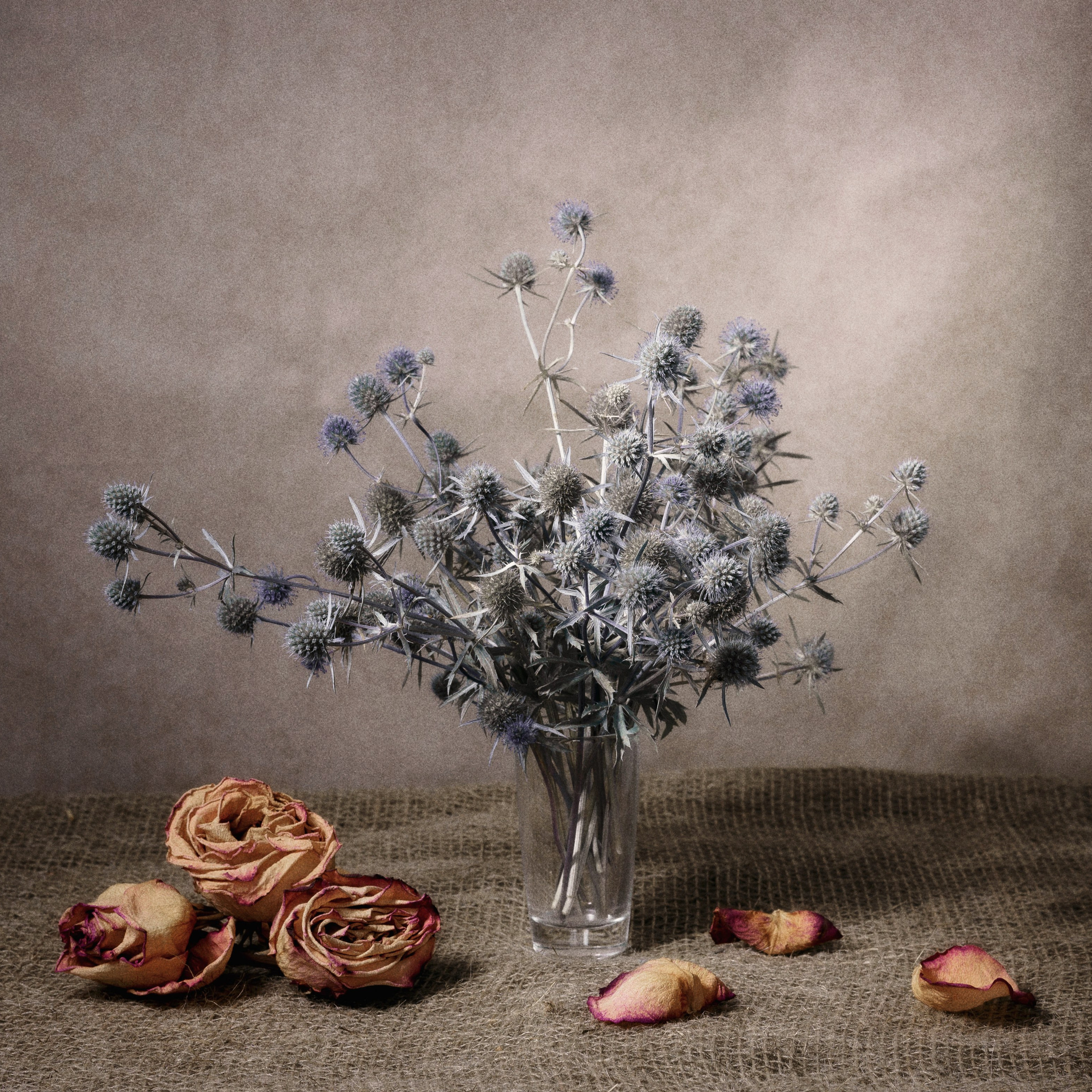 Виртуальная выставка от Орловского областного центра. Фотографы в Орле Шестопаловы Юлия и Юрий