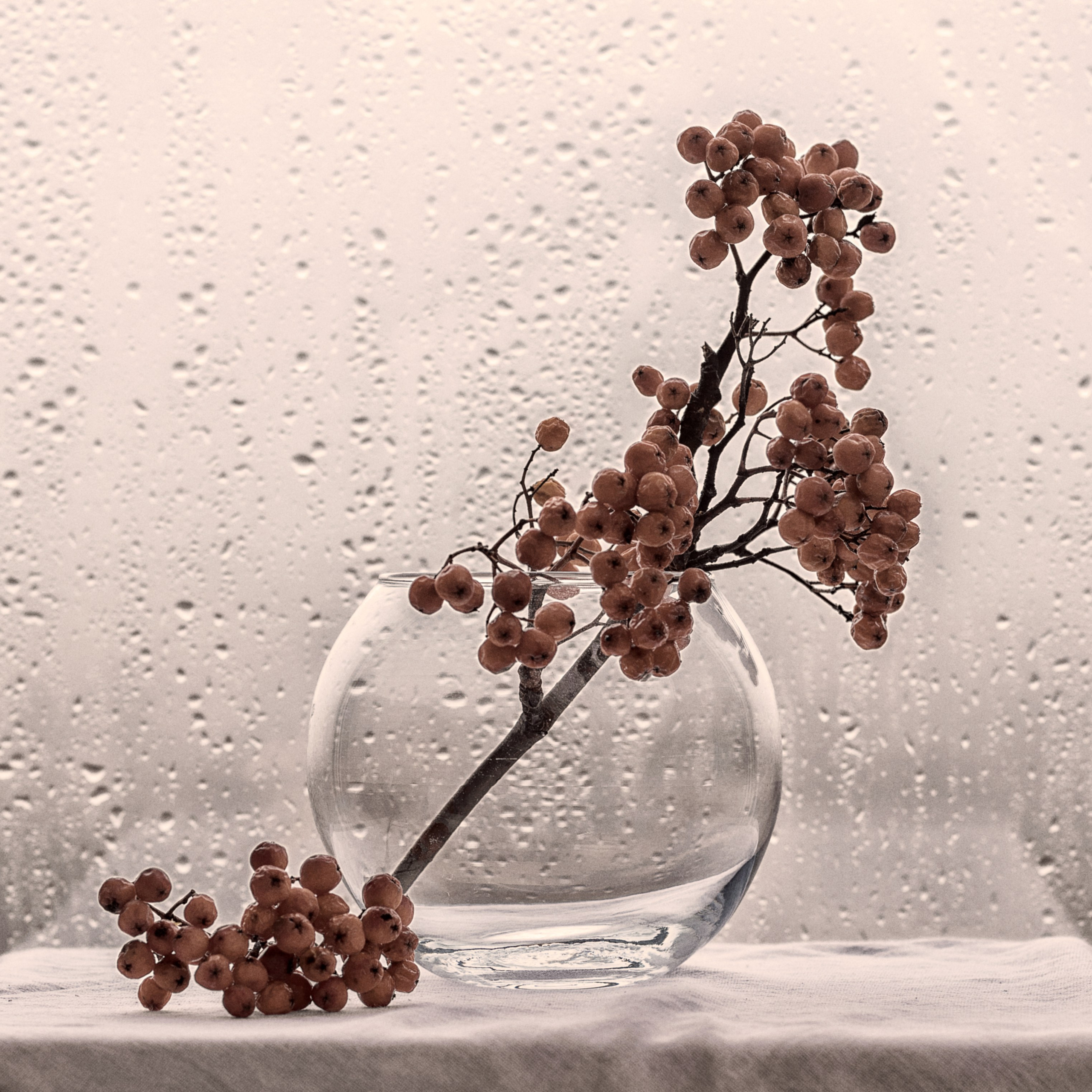 Виртуальная выставка от Орловского областного центра. Фотографы в Орле Шестопаловы Юлия и Юрий