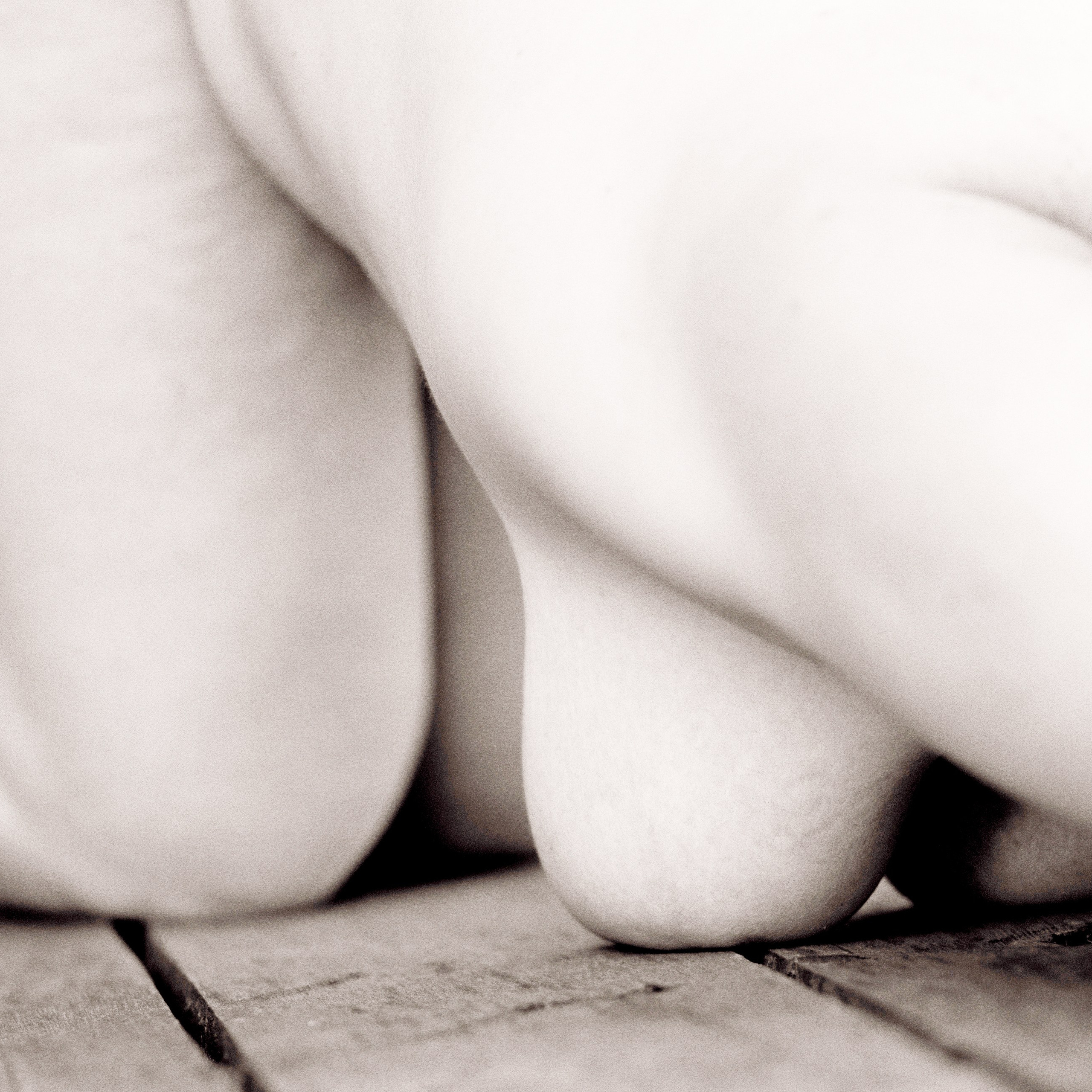 Виртуальная выставка от Орловского областного центра. Фотографы в Орле Шестопаловы Юлия и Юрий