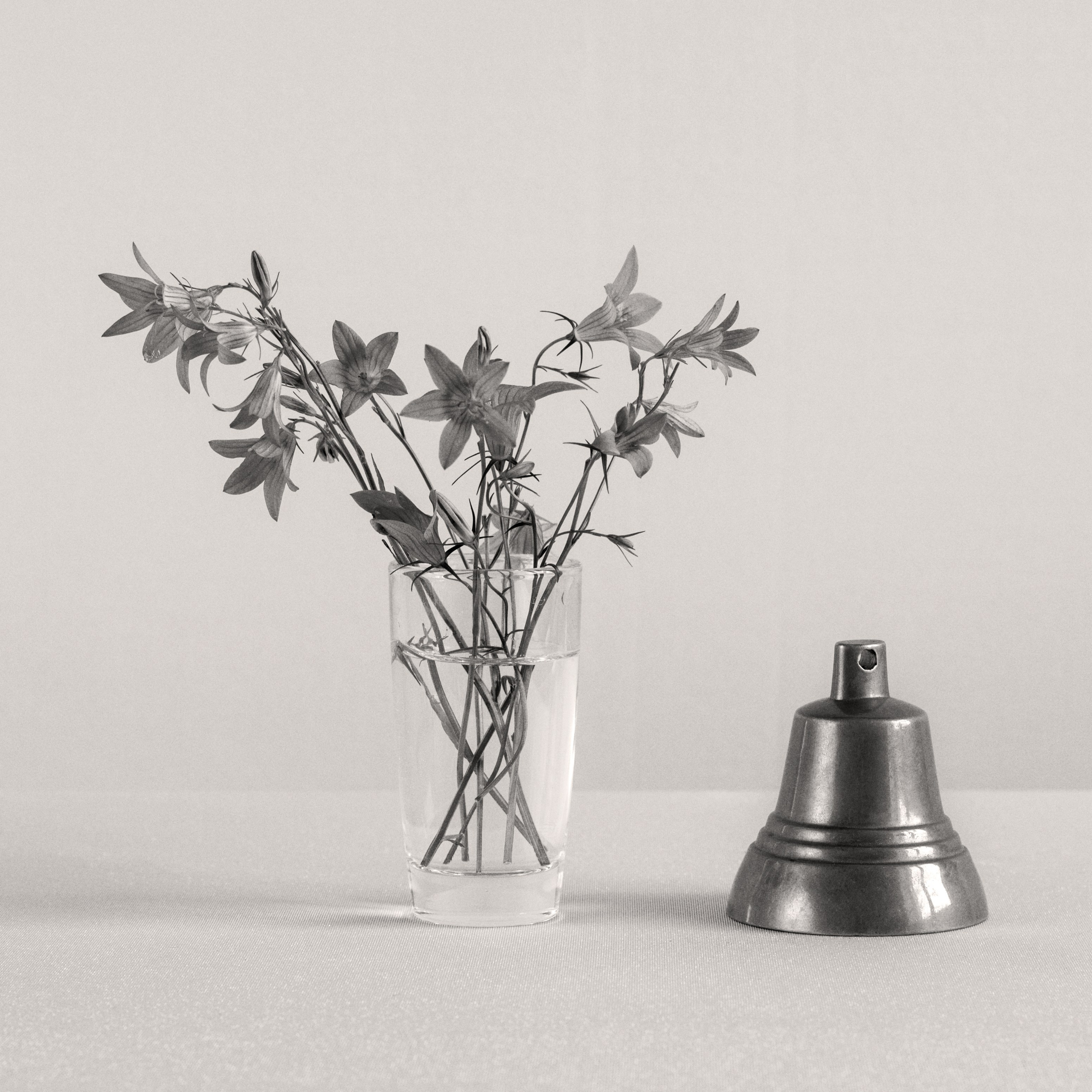 Виртуальная выставка от Орловского областного центра. Фотографы в Орле Шестопаловы Юлия и Юрий