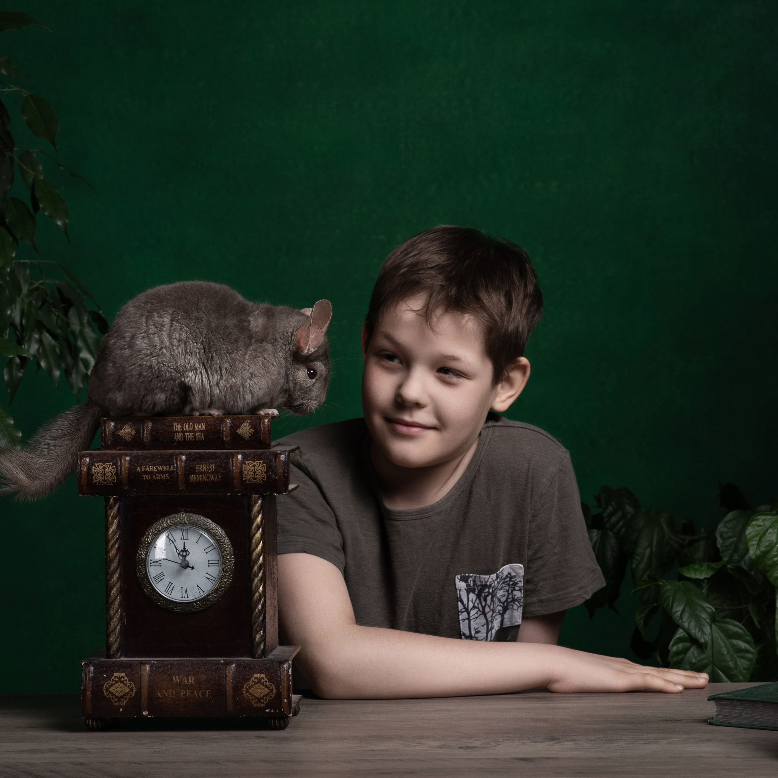 Владимир — фотосессия с шиншиллой