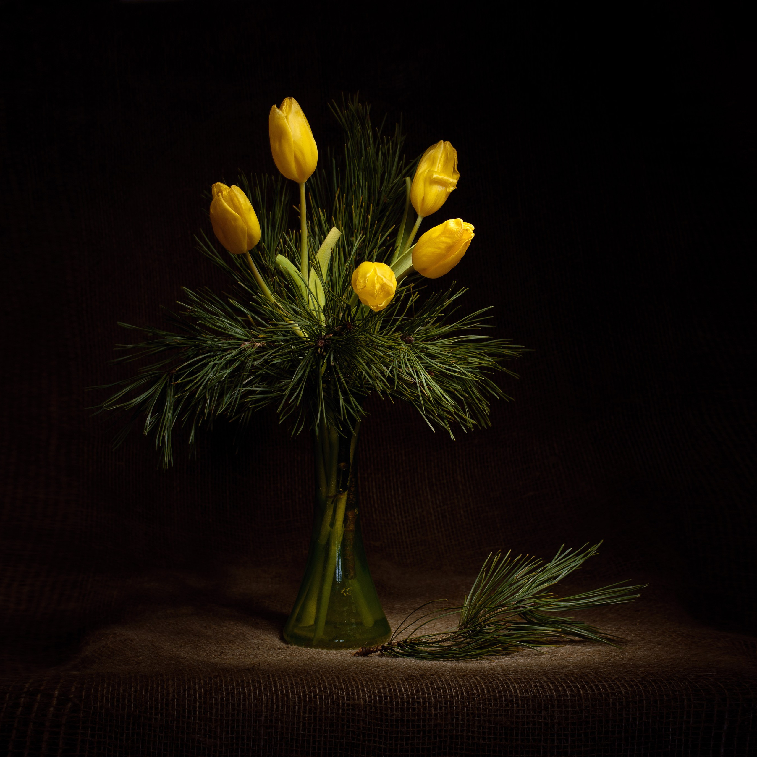 Виртуальная выставка от Орловского областного центра. Фотографы в Орле Шестопаловы Юлия и Юрий