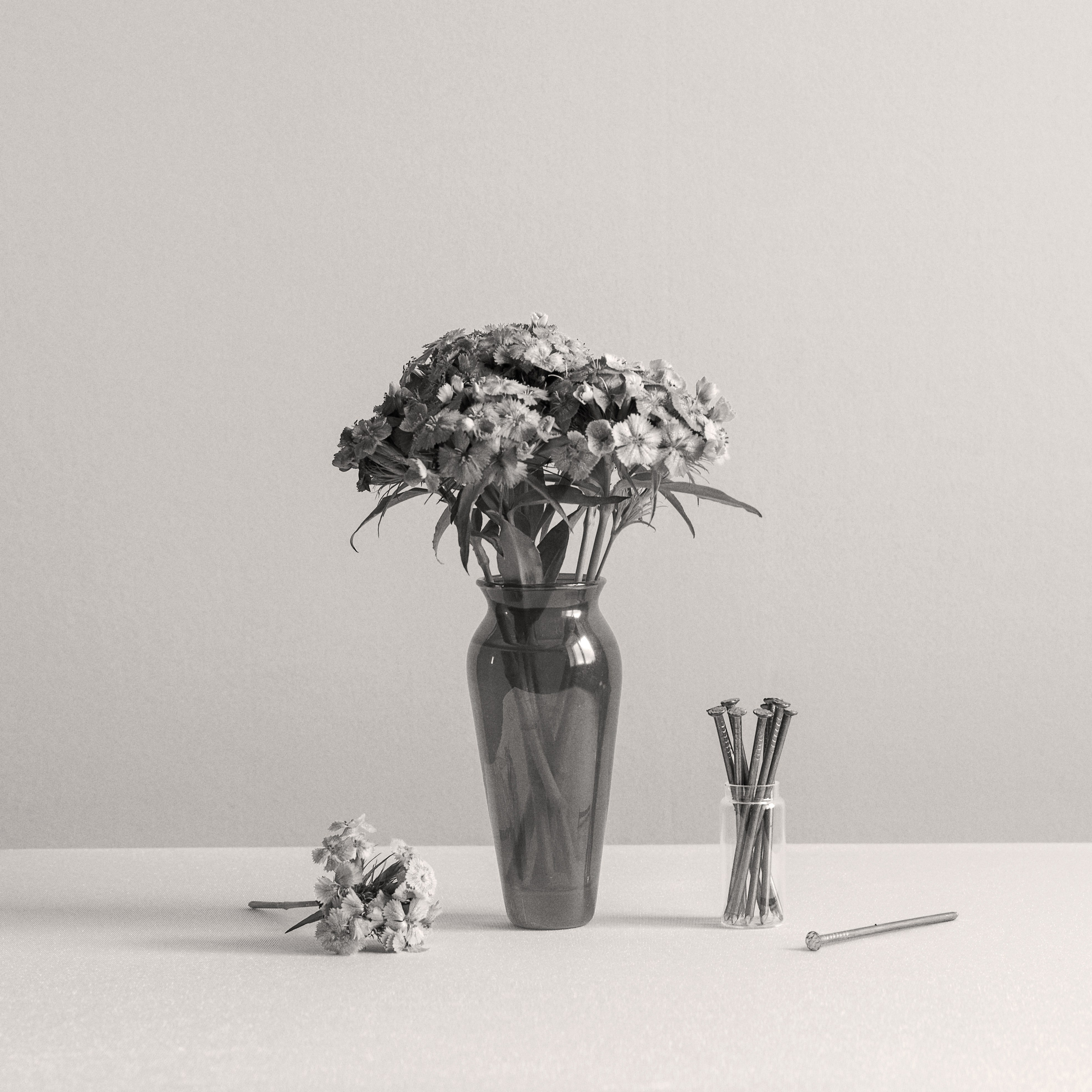 Виртуальная выставка от Орловского областного центра. Фотографы в Орле Шестопаловы Юлия и Юрий