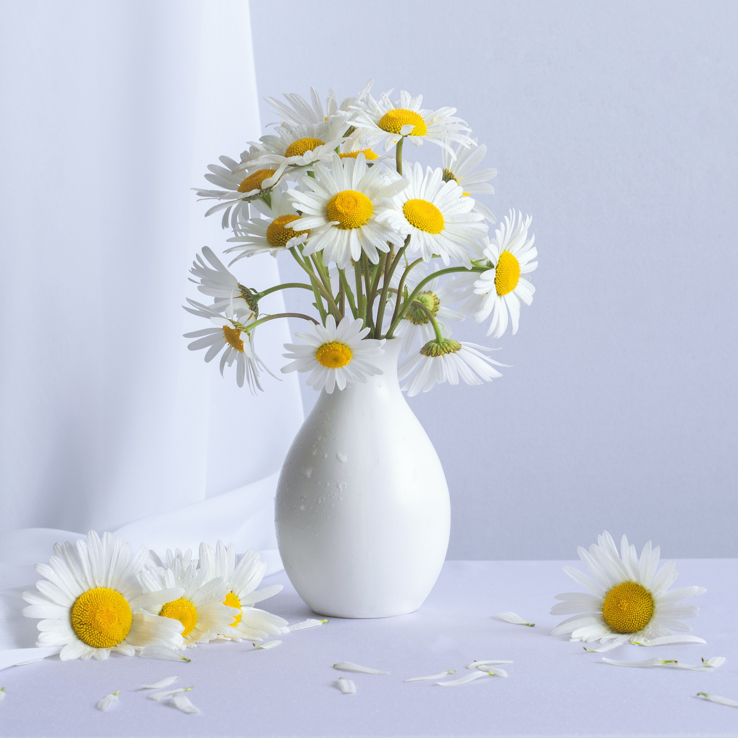 Виртуальная выставка от Орловского областного центра. Фотографы в Орле Шестопаловы Юлия и Юрий