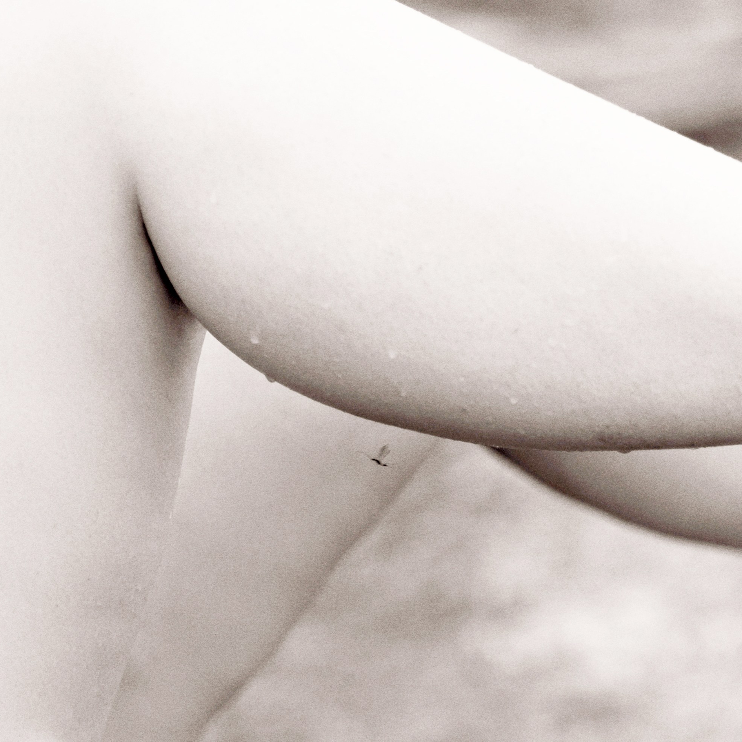 Виртуальная выставка от Орловского областного центра. Фотографы в Орле Шестопаловы Юлия и Юрий