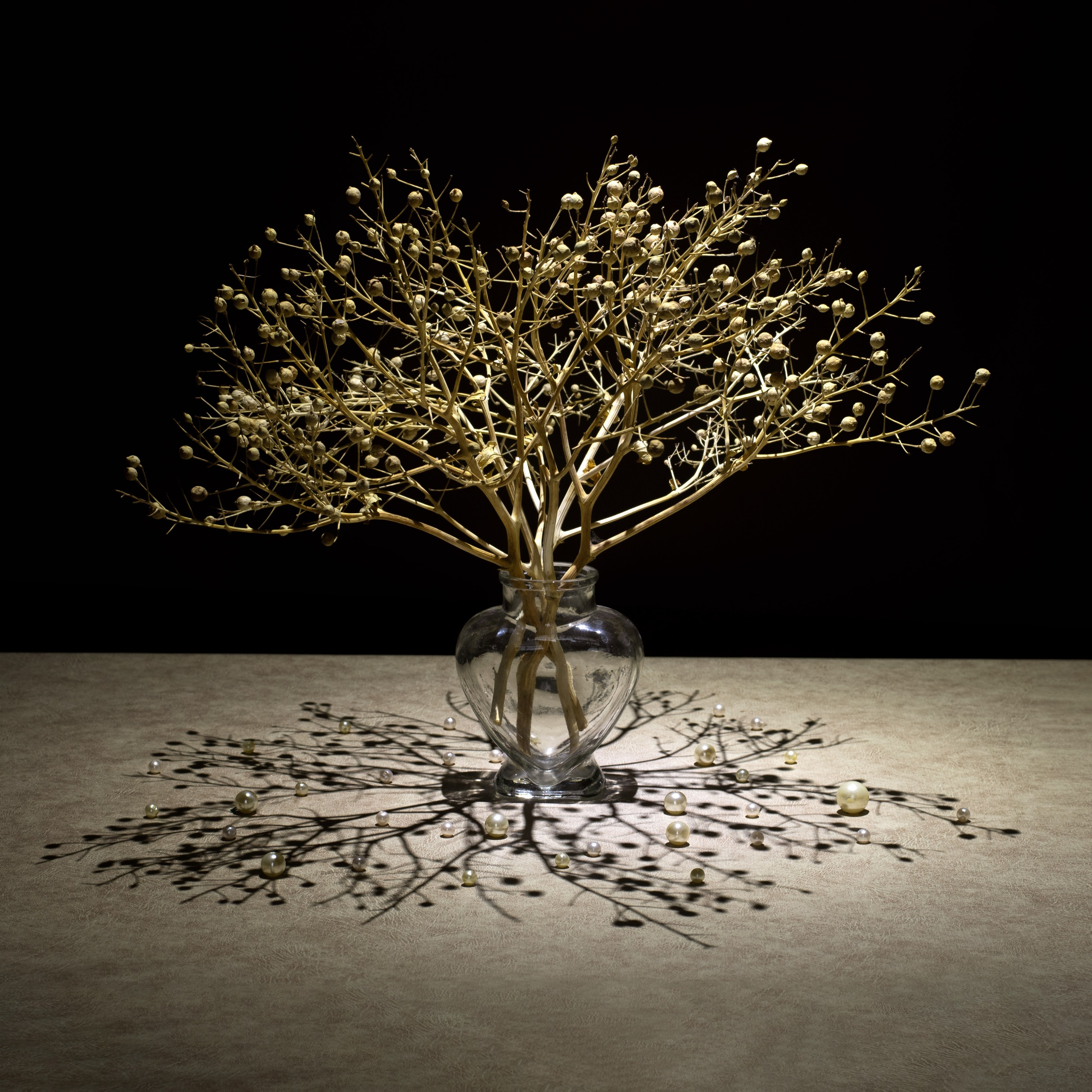 Виртуальная выставка от Орловского областного центра. Фотографы в Орле Шестопаловы Юлия и Юрий