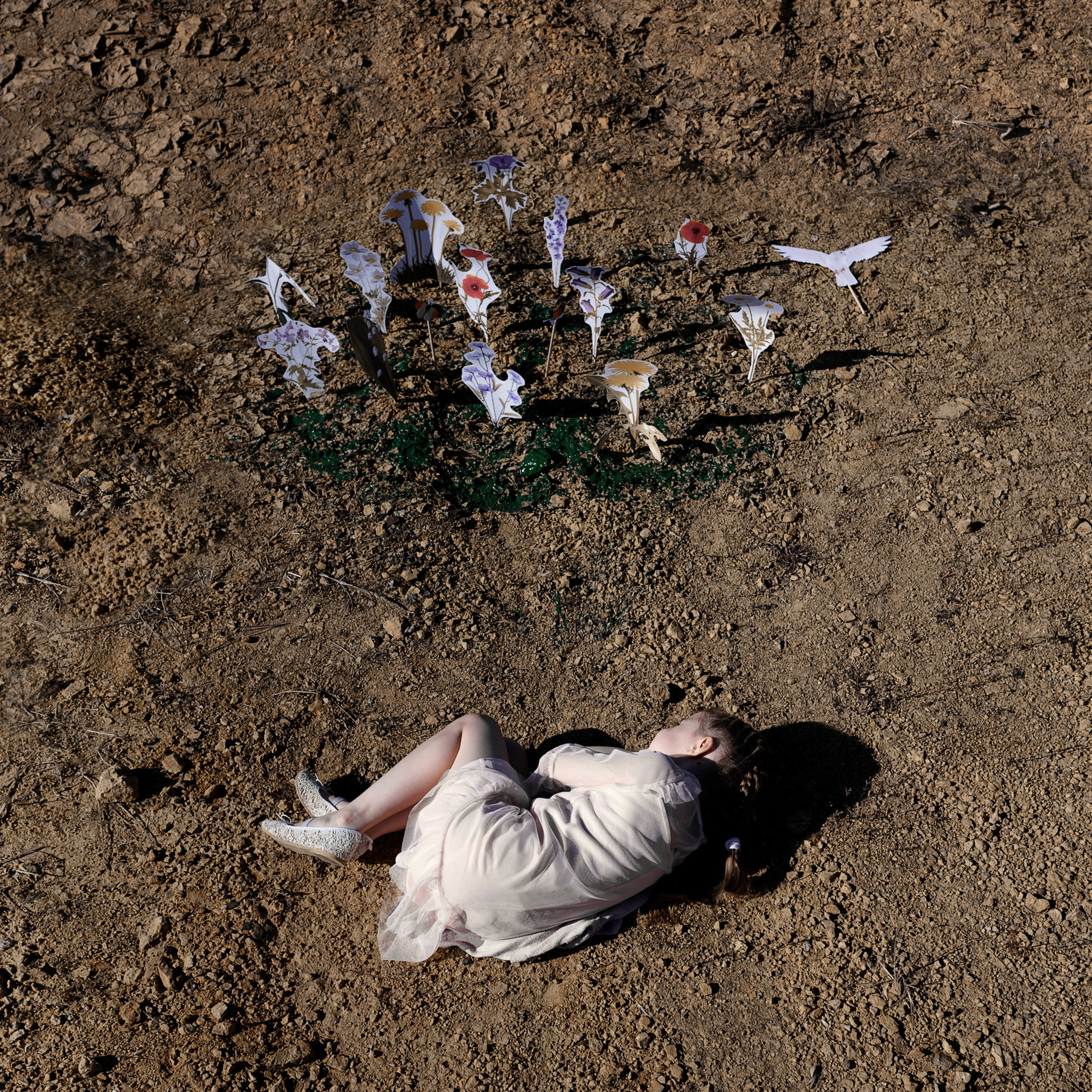 Экология. Фотографы в Орле Шестопаловы Юлия и Юрий