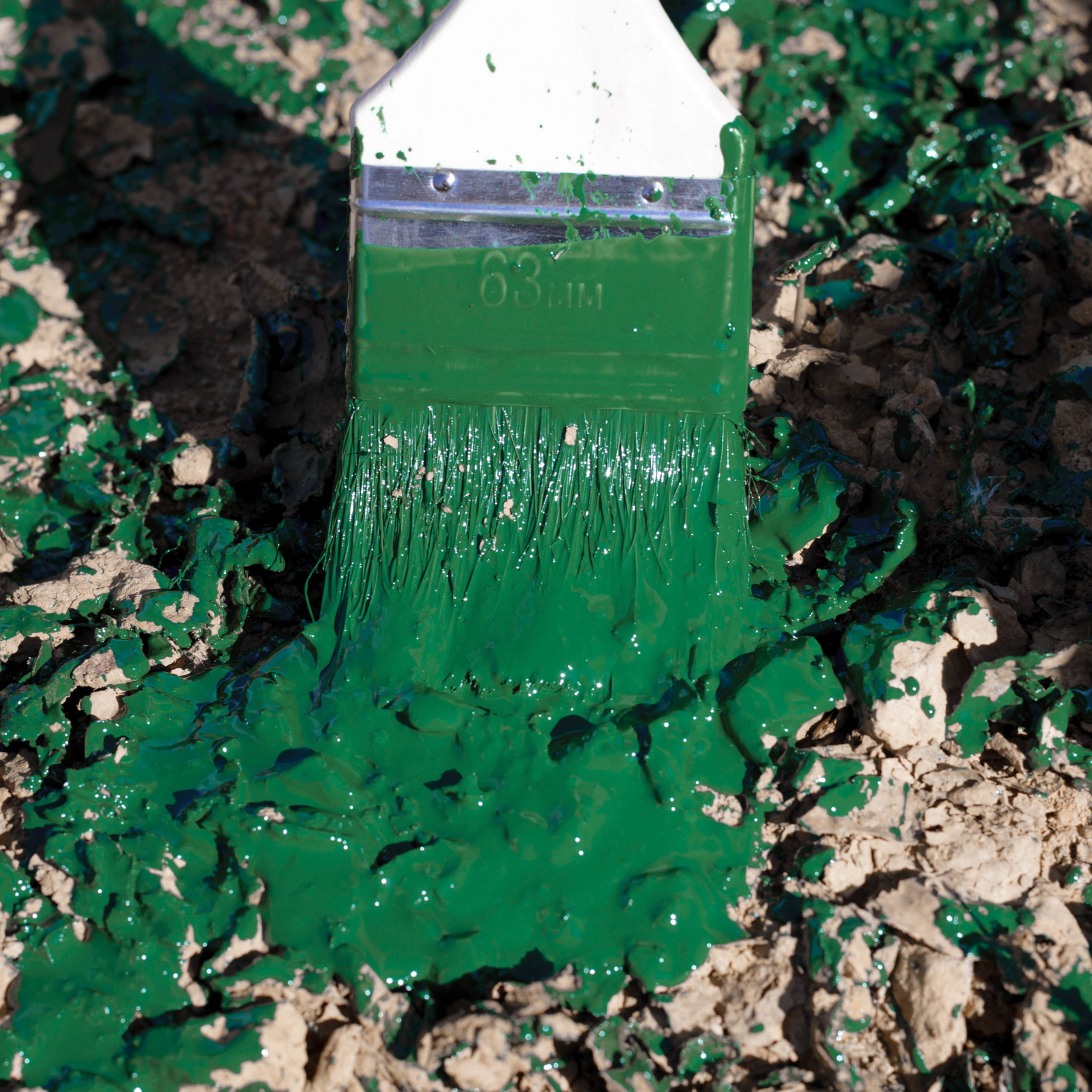 Экология. Фотографы в Орле Шестопаловы Юлия и Юрий