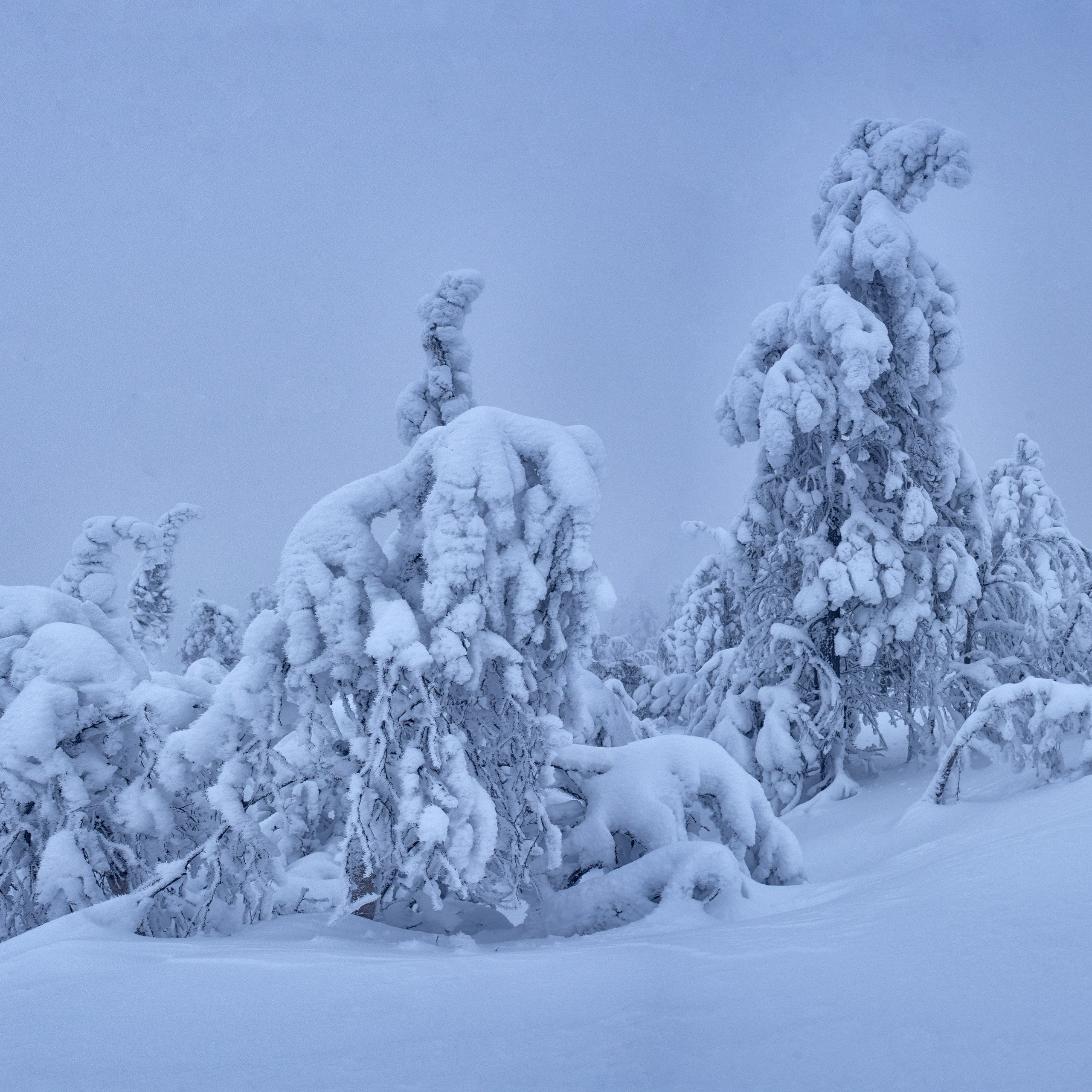 Виртуальная выставка от Орловского областного центра. Фотографы в Орле Шестопаловы Юлия и Юрий