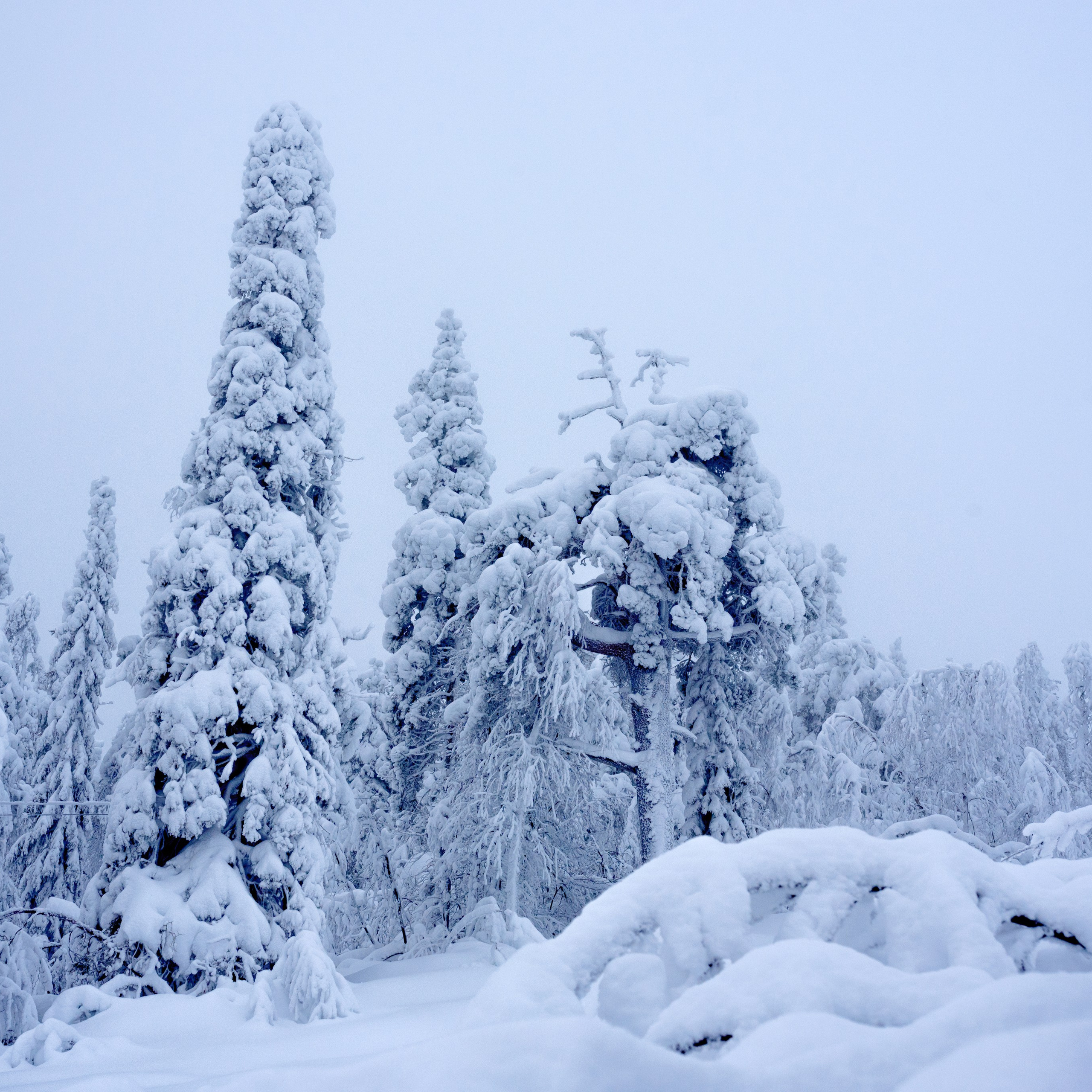 Виртуальная выставка от Орловского областного центра. Фотографы в Орле Шестопаловы Юлия и Юрий