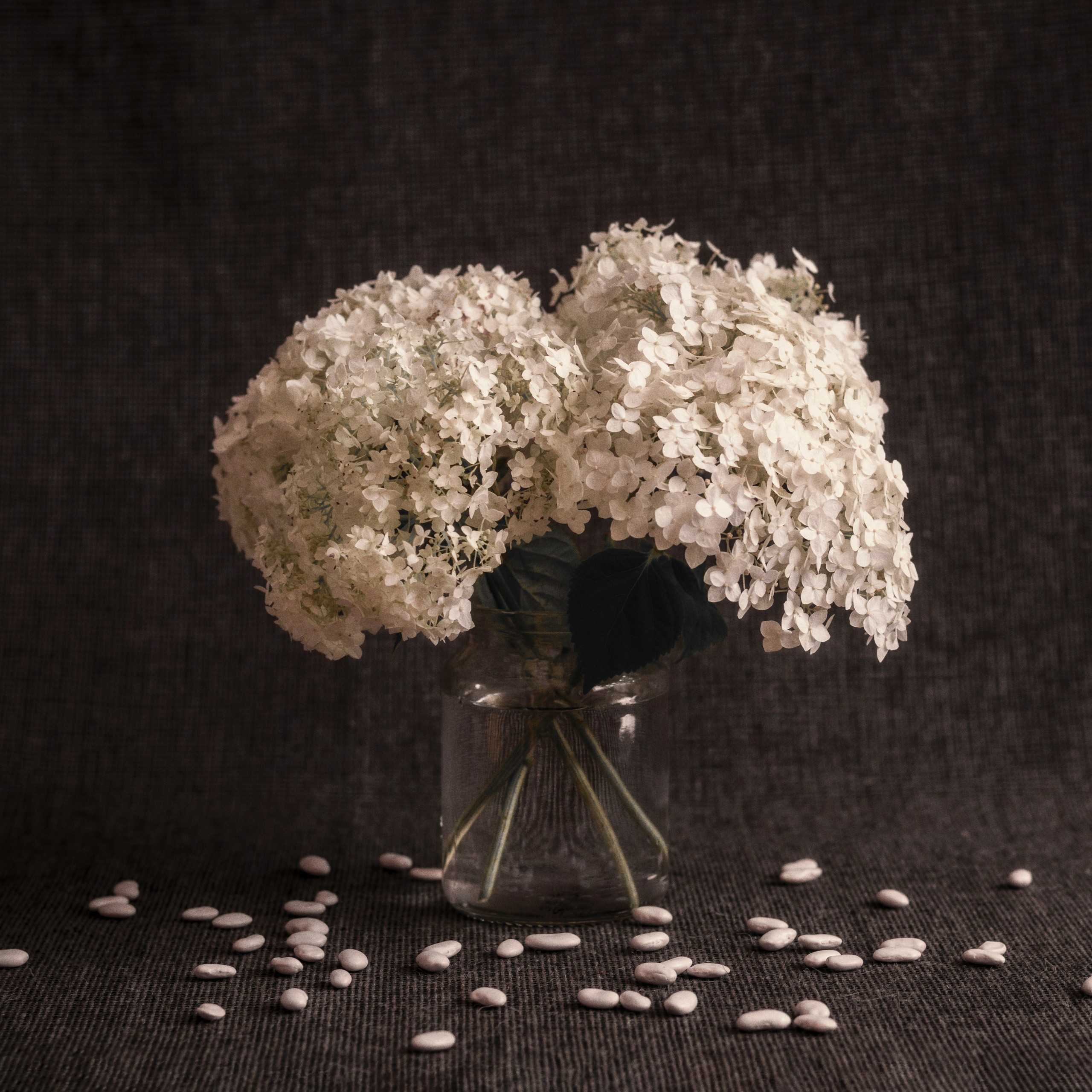 Виртуальная выставка от Орловского областного центра. Фотографы в Орле Шестопаловы Юлия и Юрий