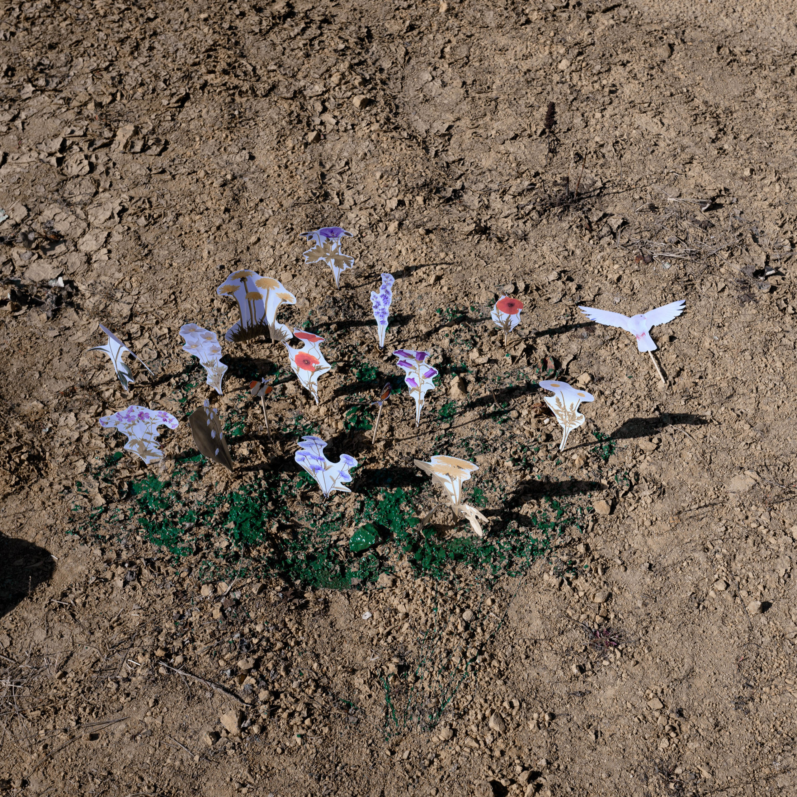 Экология. Фотографы в Орле Шестопаловы Юлия и Юрий